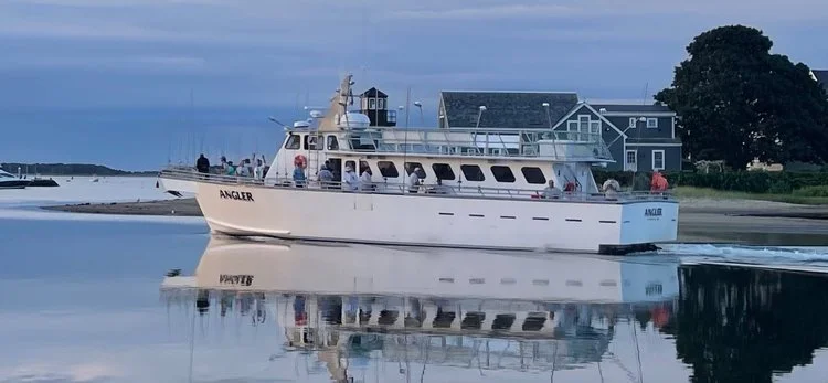 TEMPORARY CABLE OBSTRUCTIONS (#84)