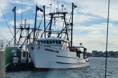 SUMMER TRAWL SURVEY 2023 (#91)