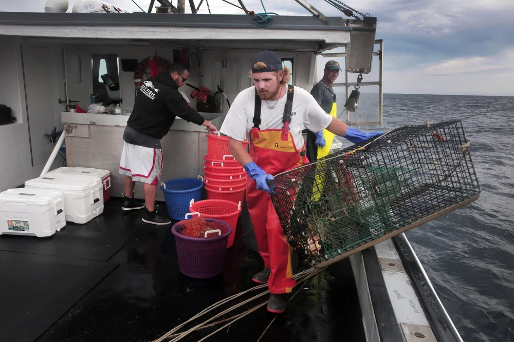 Vineyard Wind 1 Fisheries Compensatory Mitigation Program Vineyard Wind