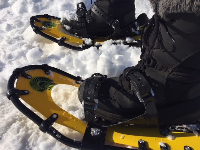 Northern Lites Snowshoes