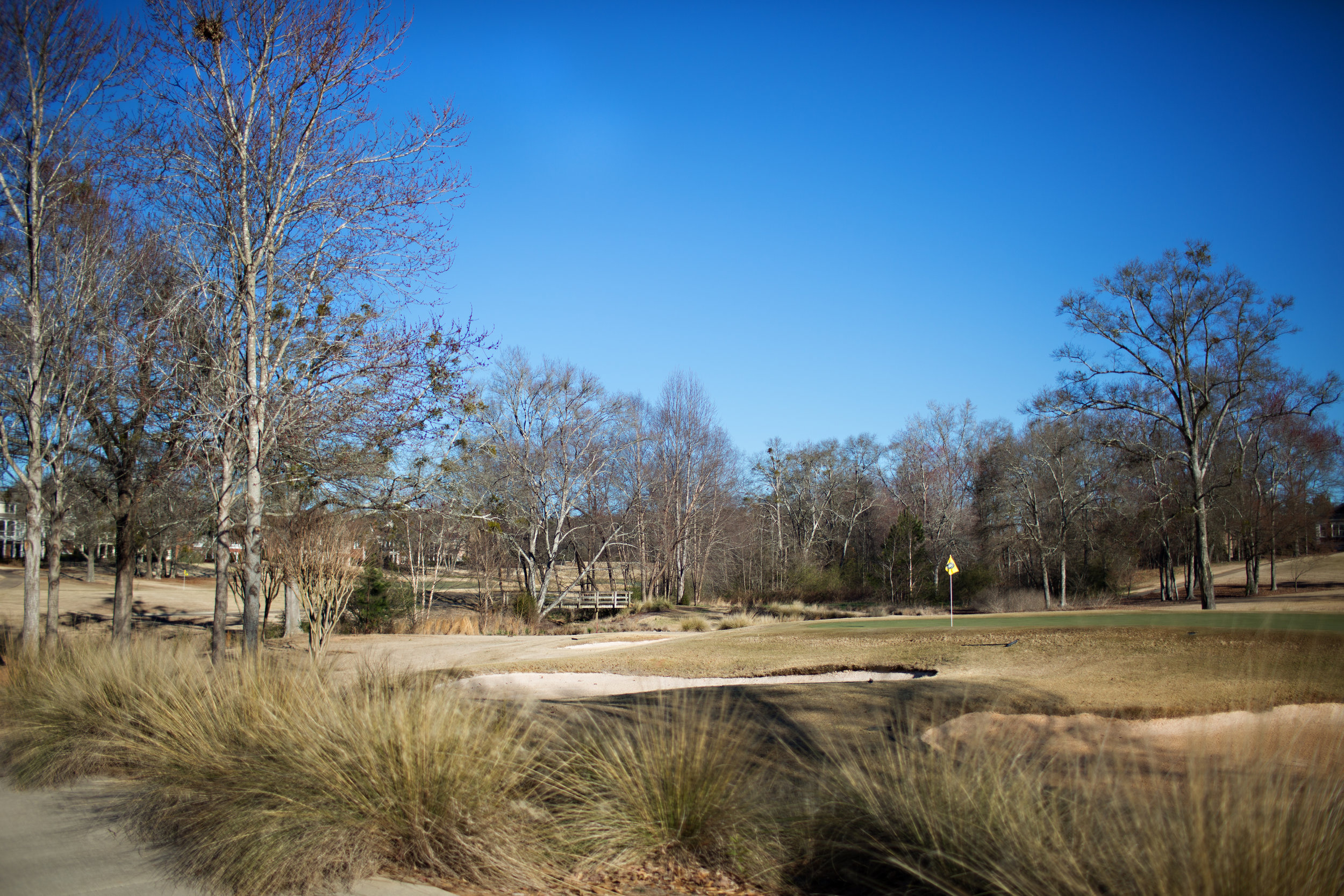 TGC_Golf Course View_IMG_0181 copy.jpg