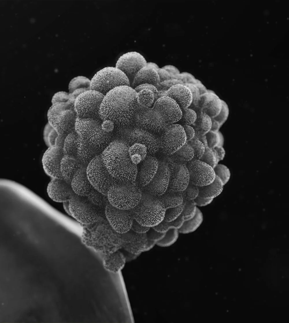 test3b.jpg