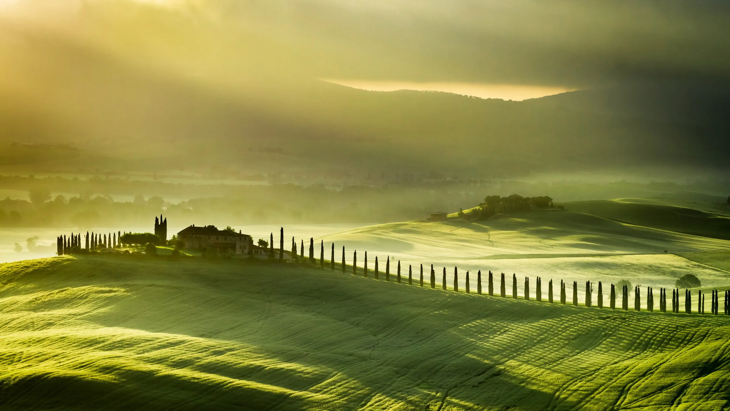 Tuscany backdrop.jpg