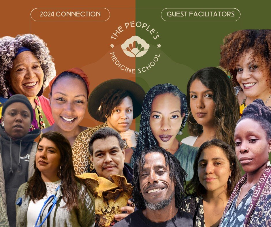 PMS fam, y'all asked for it and here it is! ⁠
🎉🎉🎉⁠
a BIPOC herbal education extravaganza!!⁠
✊🏾🌿✊🏾⁠
we are opening up our 2024 Connection Cohort Guest Facilitator sessions to you! all past and present BIPOC PMS participants and facilitators are 