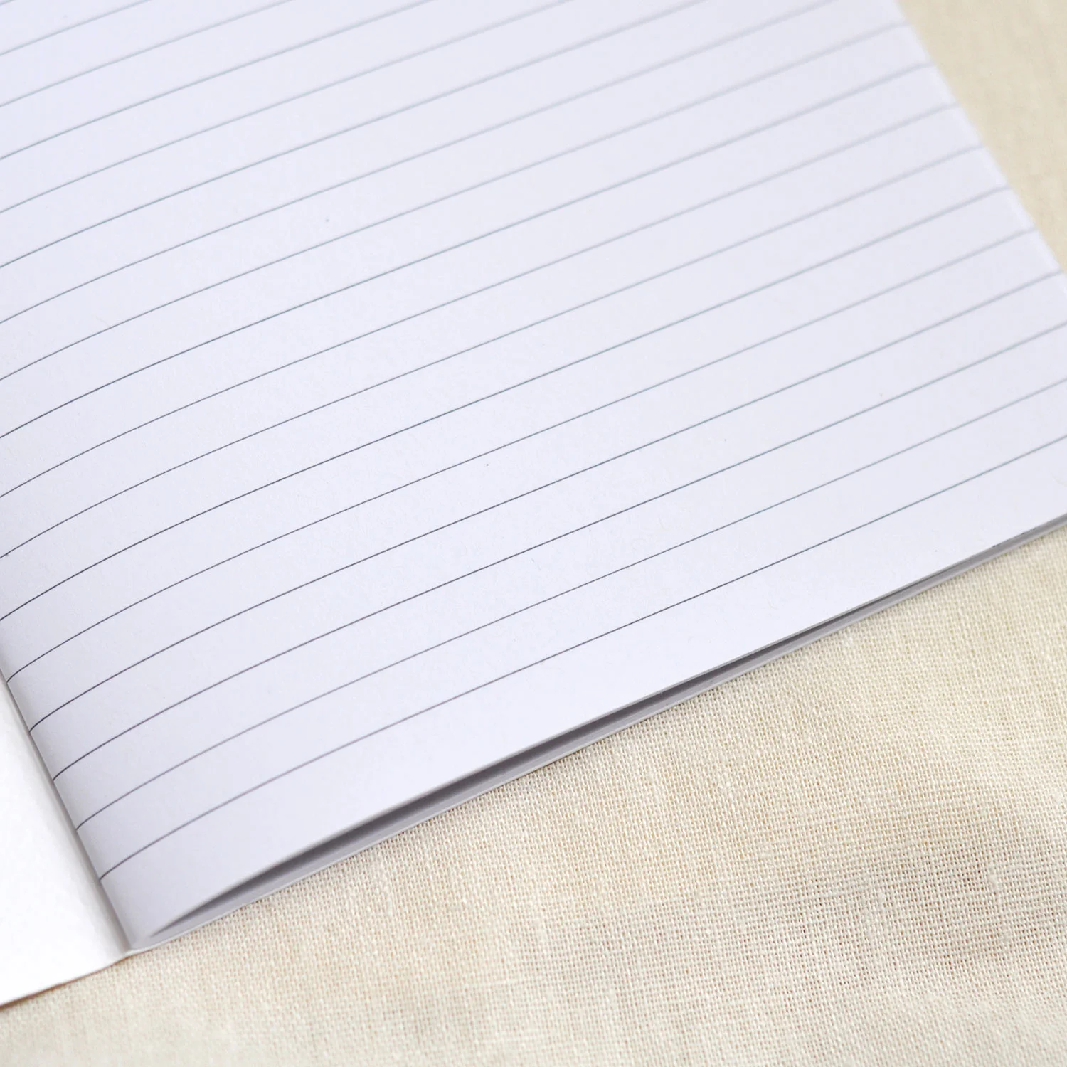 Hazel-Castle-Inside-Notebook-FSQ1500.jpg
