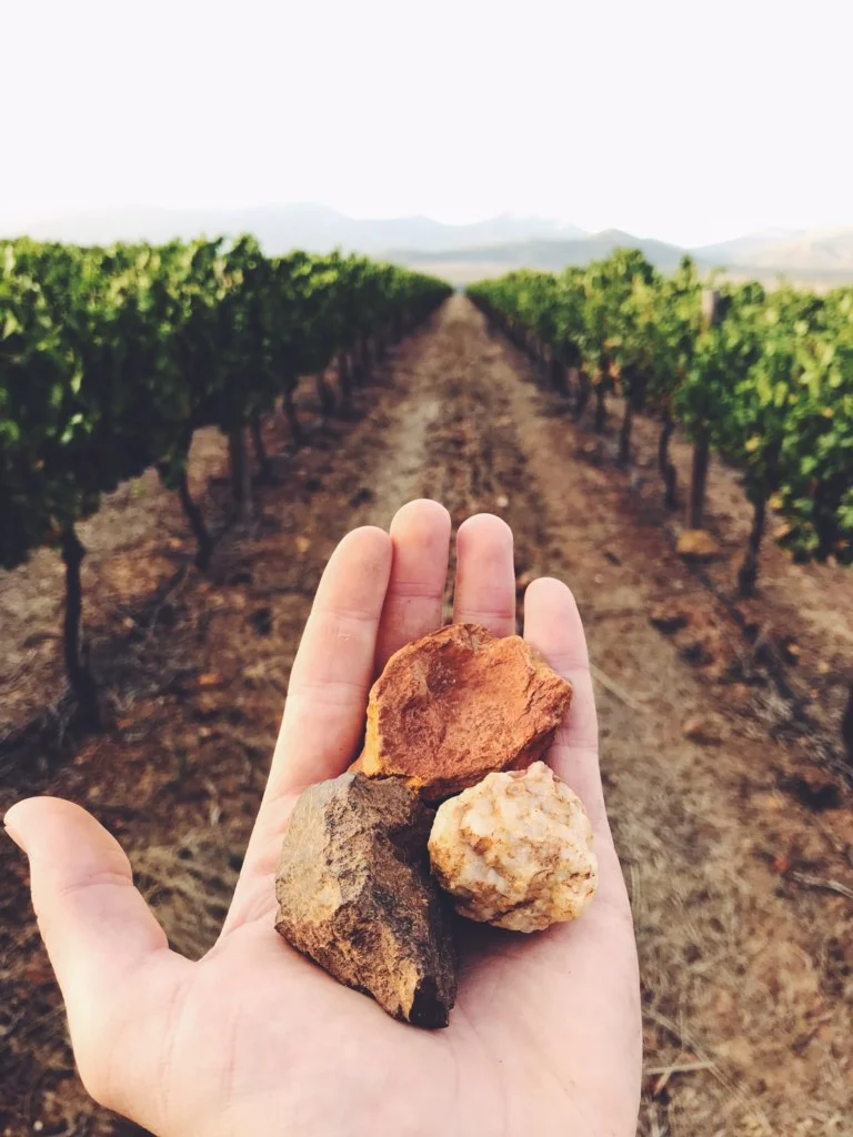 The beautiful colours of Koffie Klip soils on Nabot farm in Botrivier. Home to a breathtaking sunrise (And home to Angelo's Grenache).