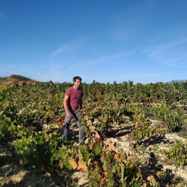 Bedales of Borough Wine Manager @mcasque is with @thormanhunt on an epic wine tour around Spain: La Rioja, Rueda and Manchuela! *
*
#sommlife #rioja #riojawine #vineyards #harvest #winemakers #winesofspain #sommelier #winebar #winetasting