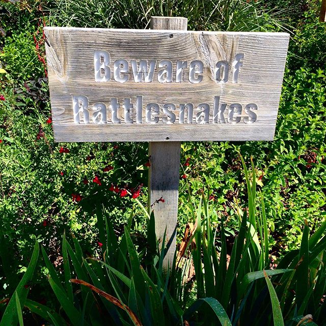 Did you know that California produces five of every six bottles of US Wine!? But it&rsquo;s not without its challenges - this sign borders the vineyards at @ridgevineyards #montebello - Join @dbcheesynyc in two weeks time for our last Premium Wine Wo