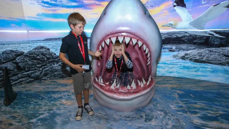 kid in shark.jpg