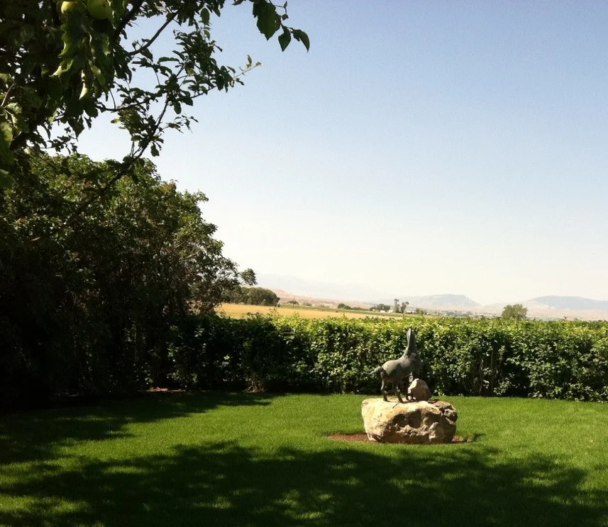 garden meditation.jpg