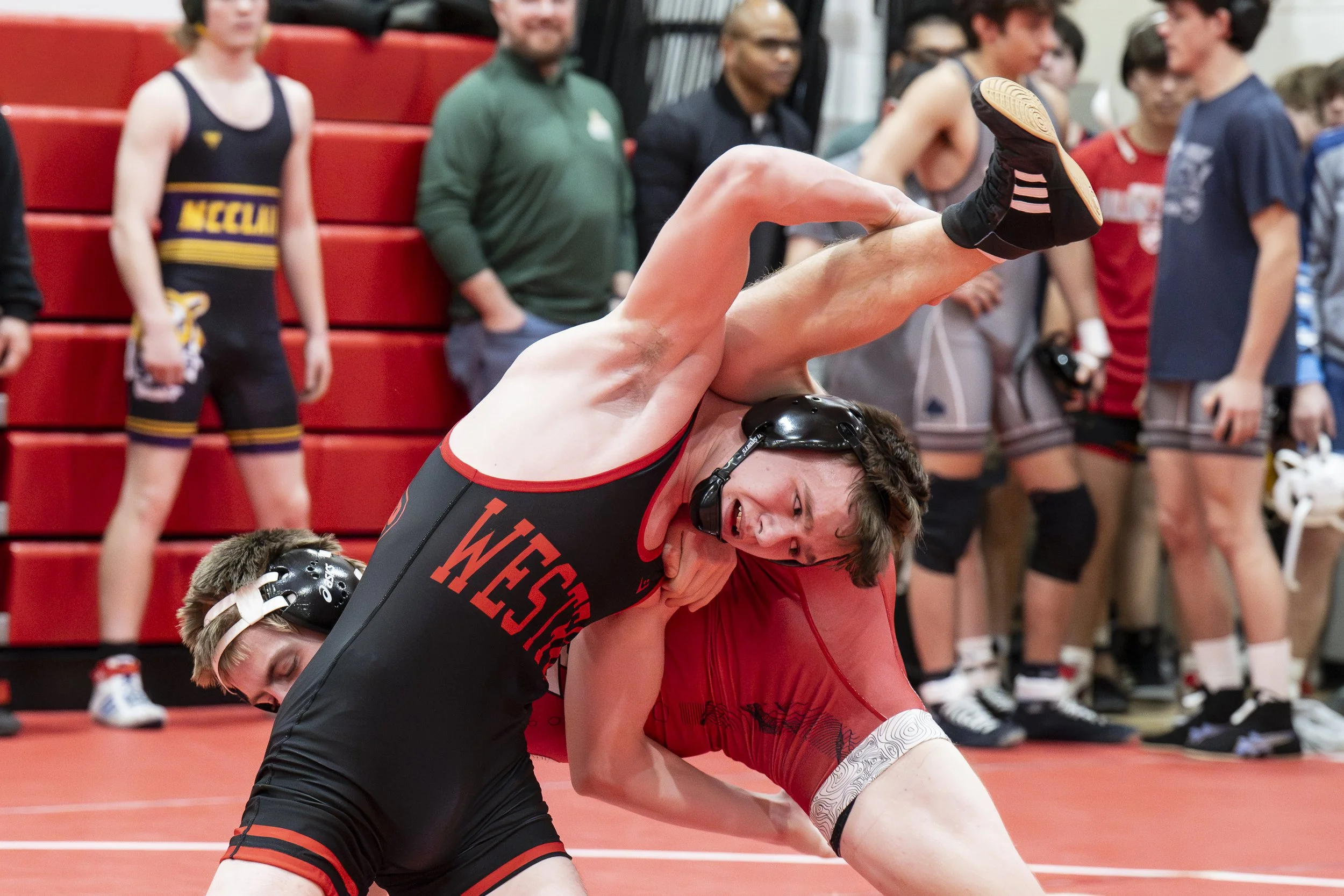 Gallia_document name_1585.JPG