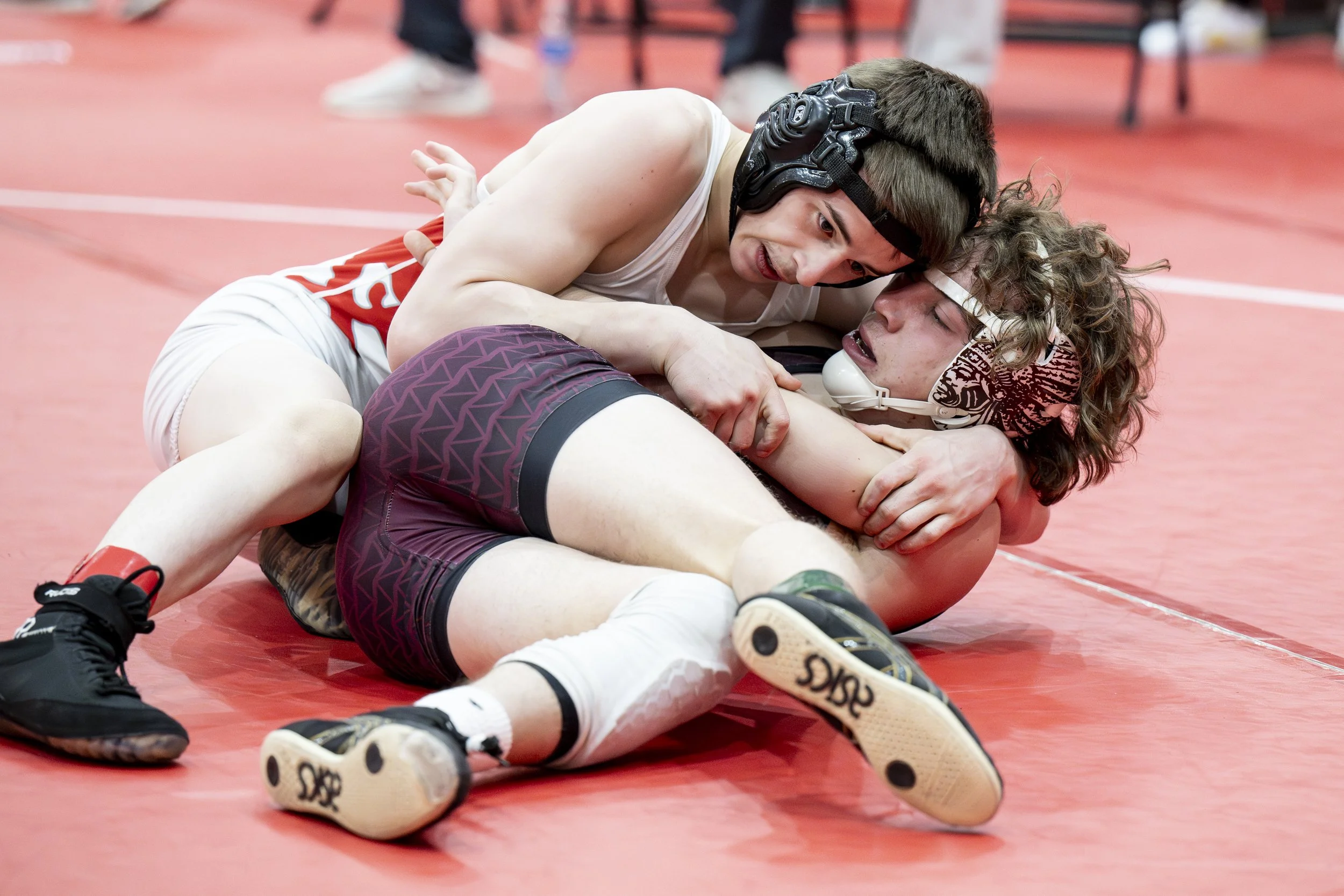 Gallia_document name_2017.JPG