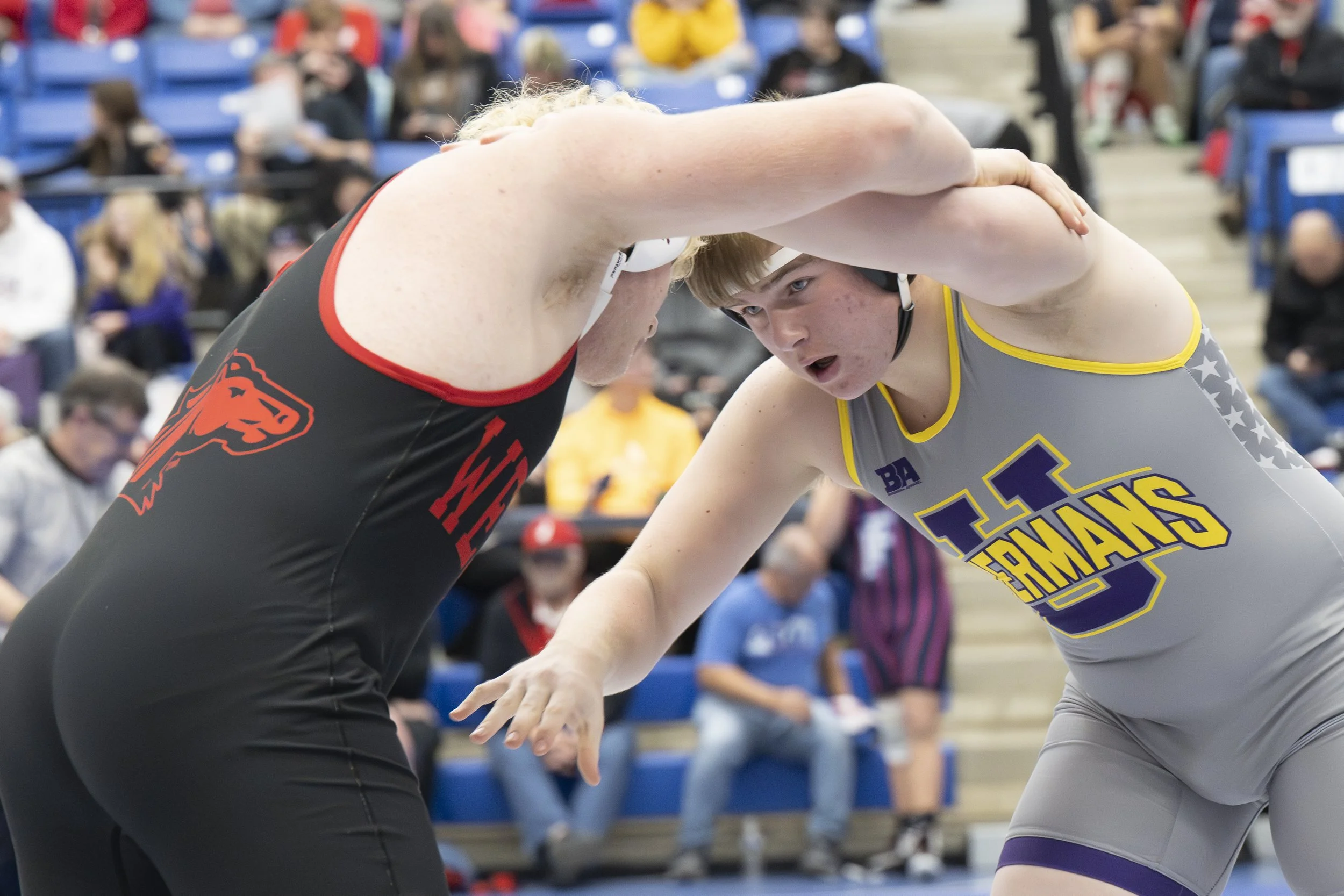 Galliadocument name_1065.JPG