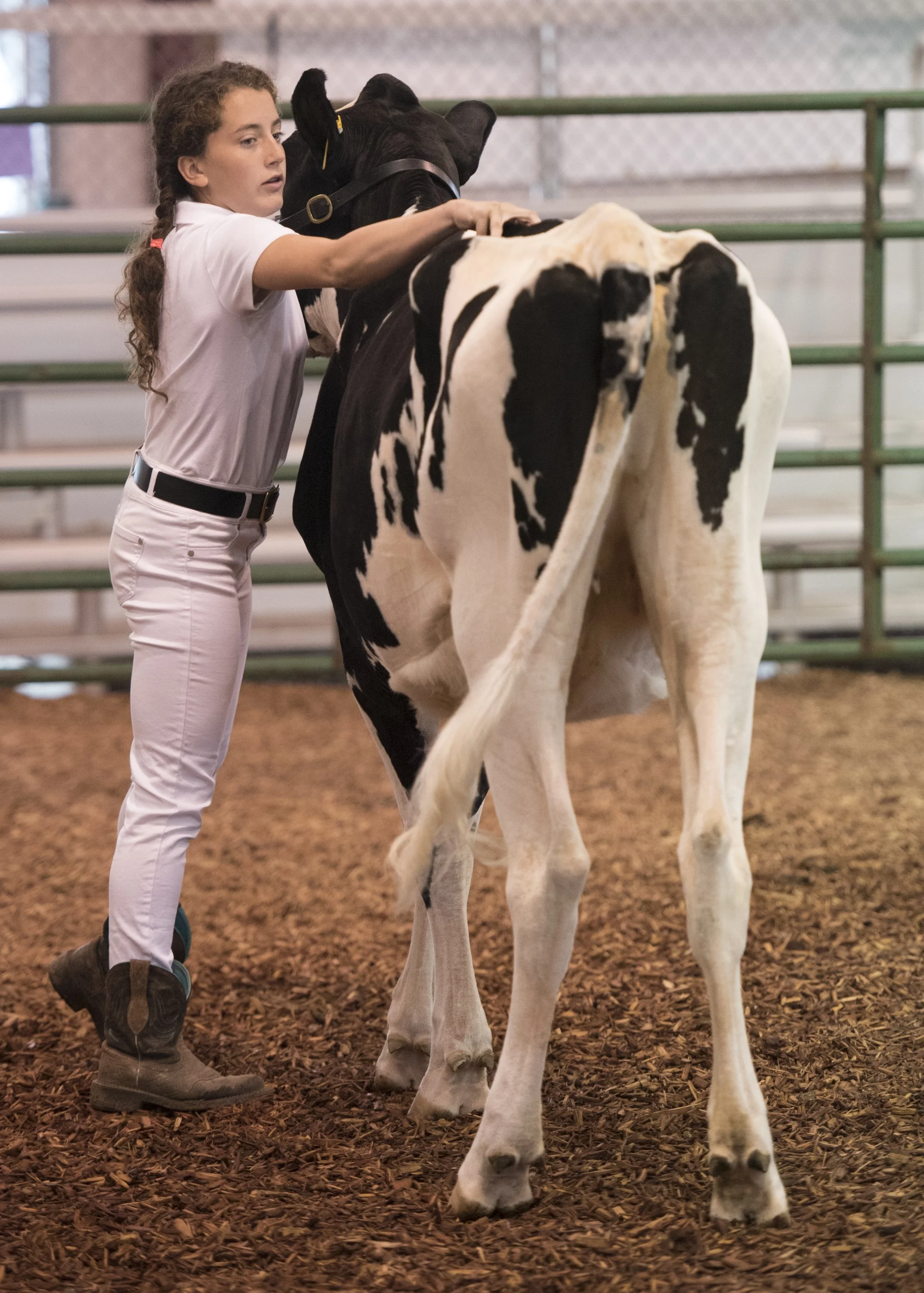 CGO_RCODairyJudging036.jpg