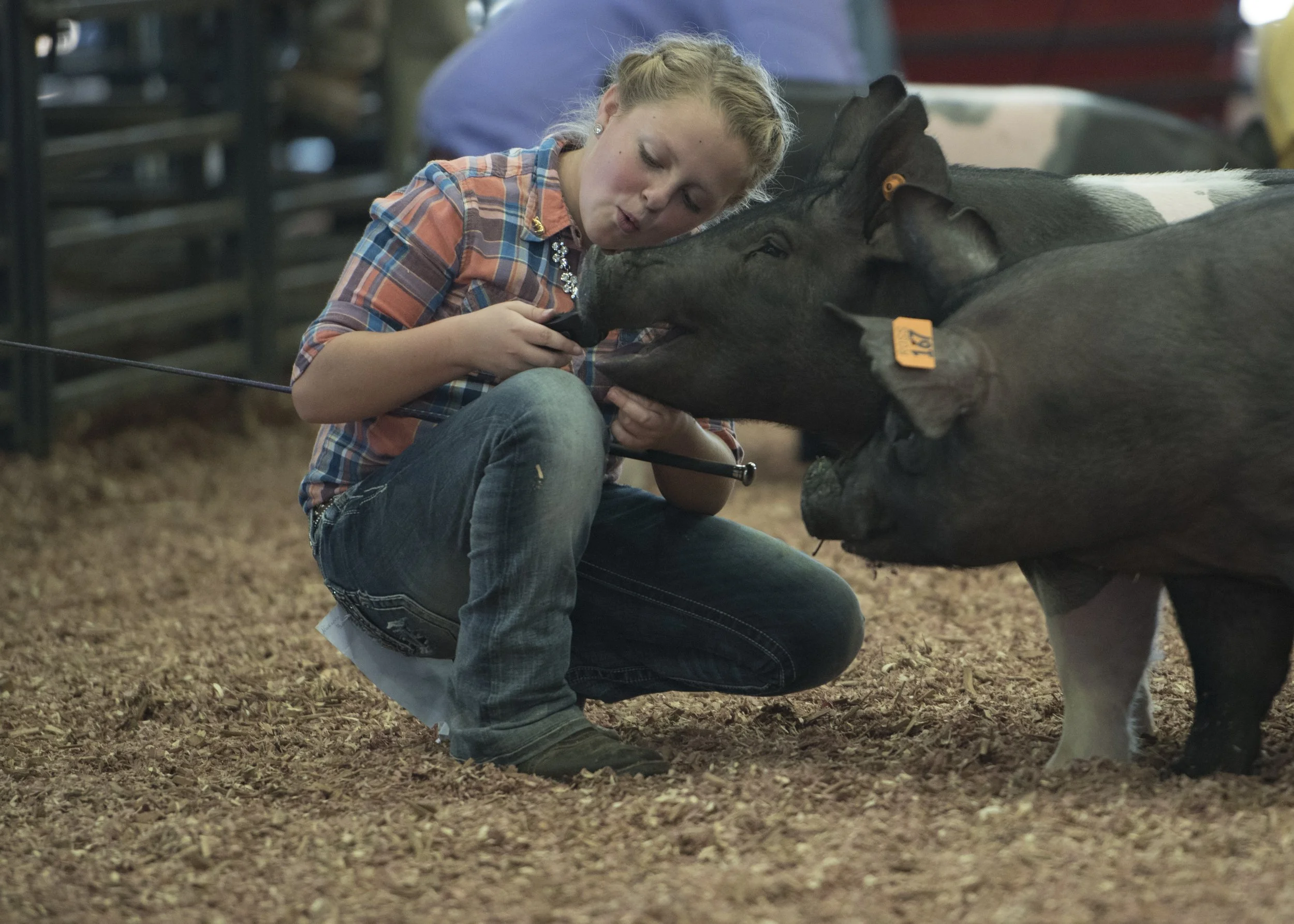 CGO_RCO_JrFairSwineShowmanship261.jpg
