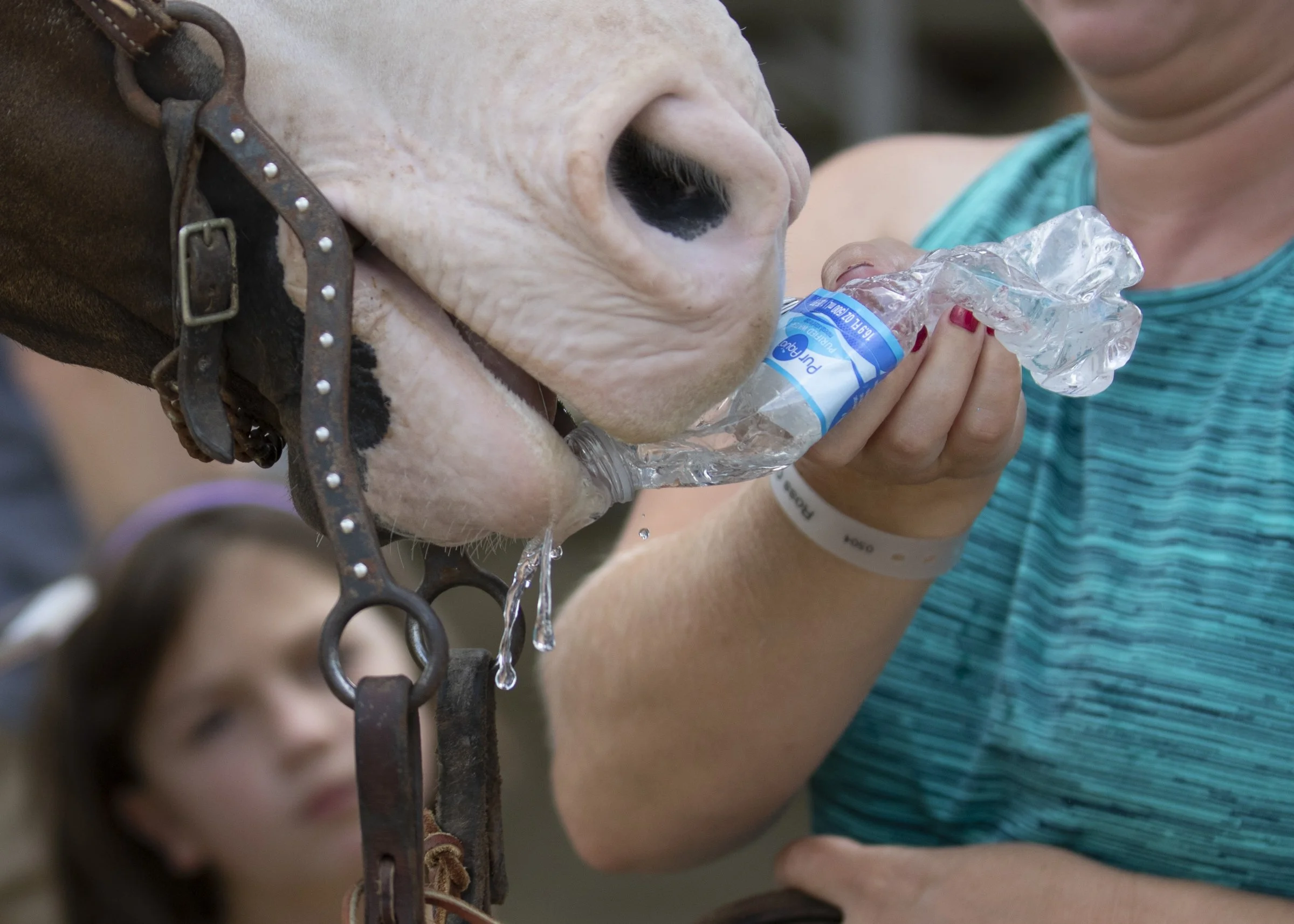 Fair Monday13.jpg