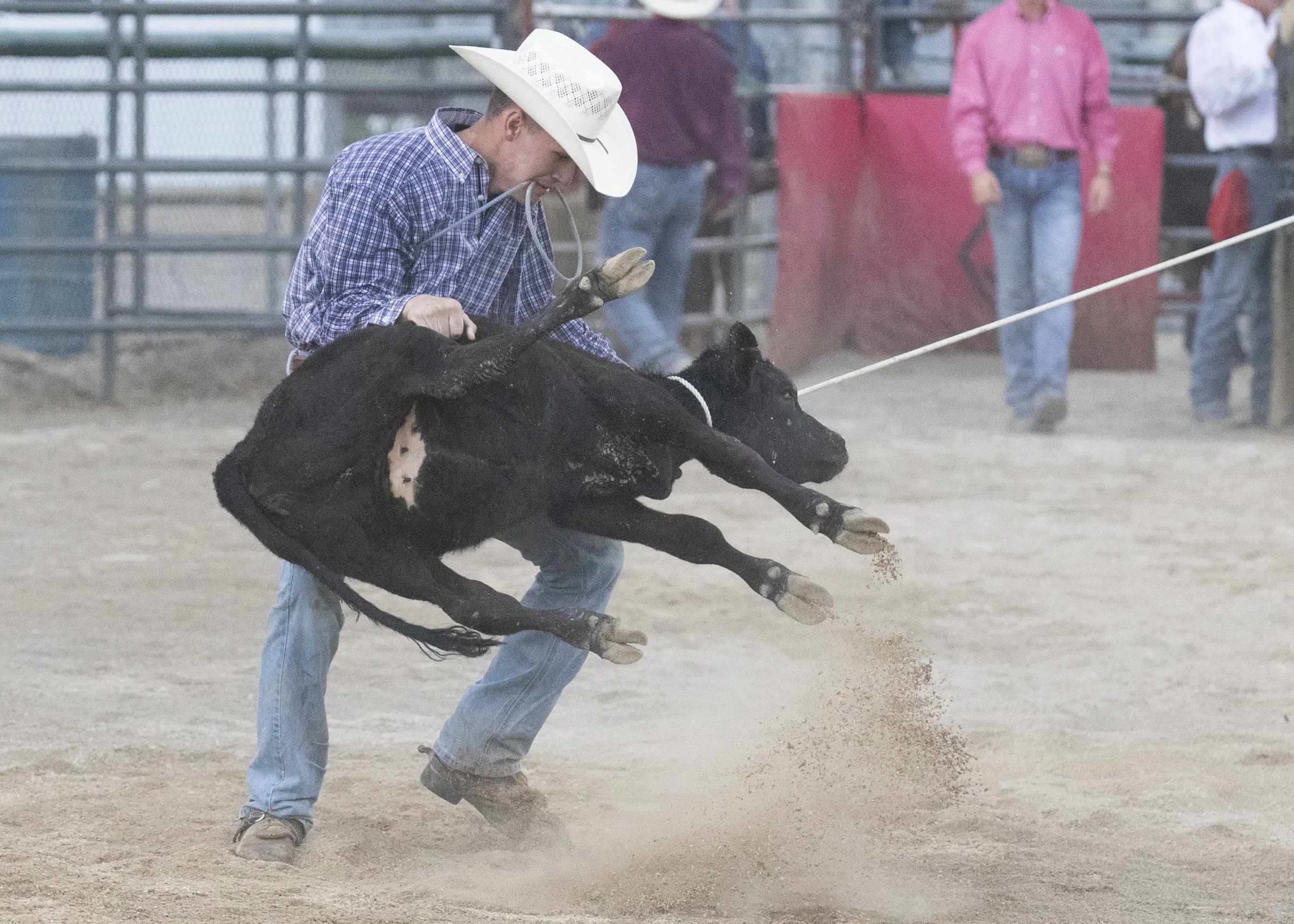 Rodeo_40A0693.jpg