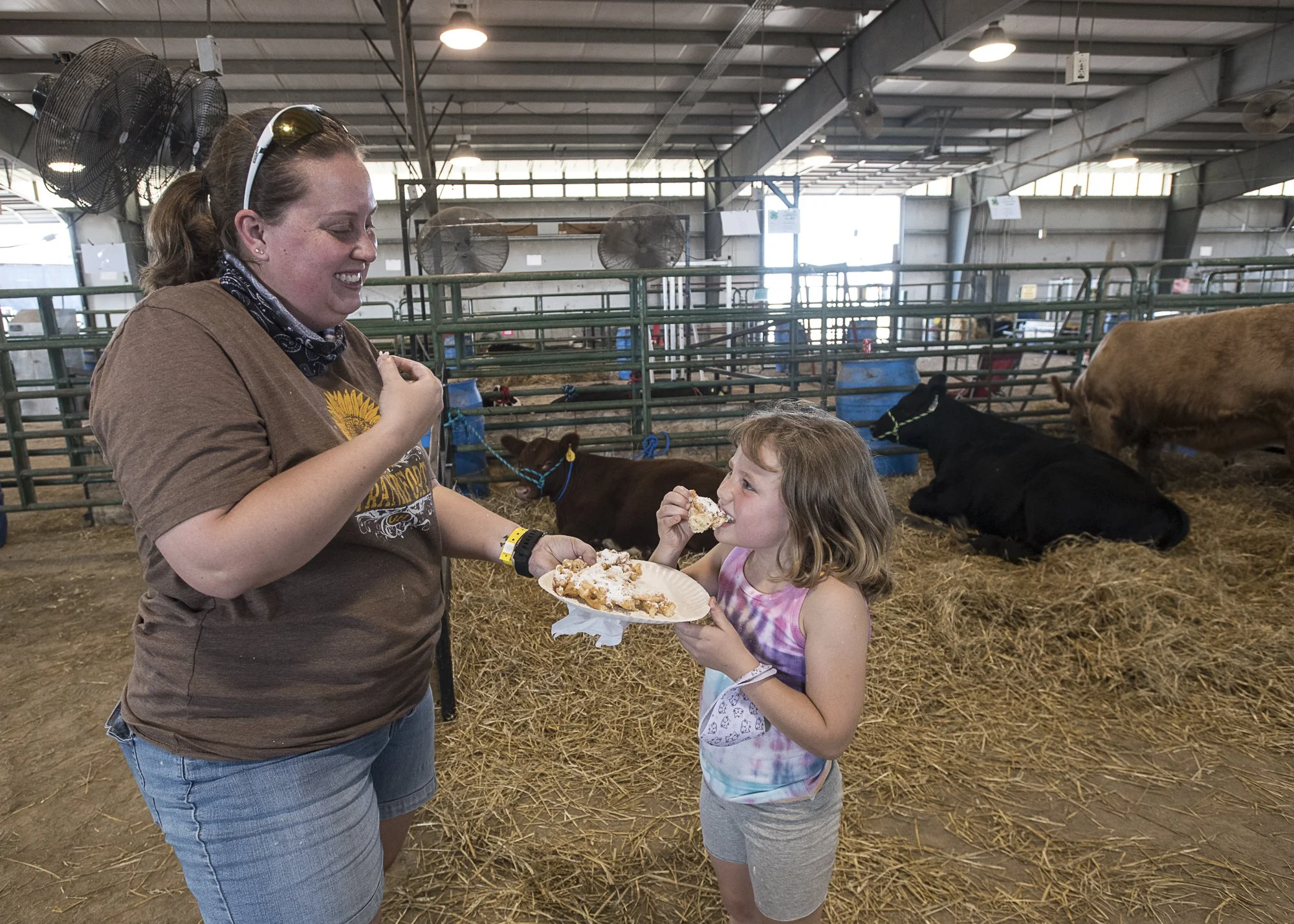COWS_DSC9180.jpg