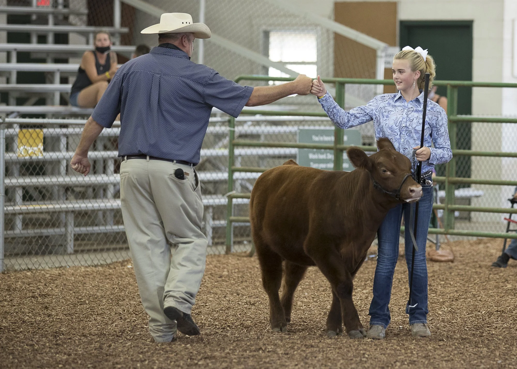 COWS_L0A3209.jpg