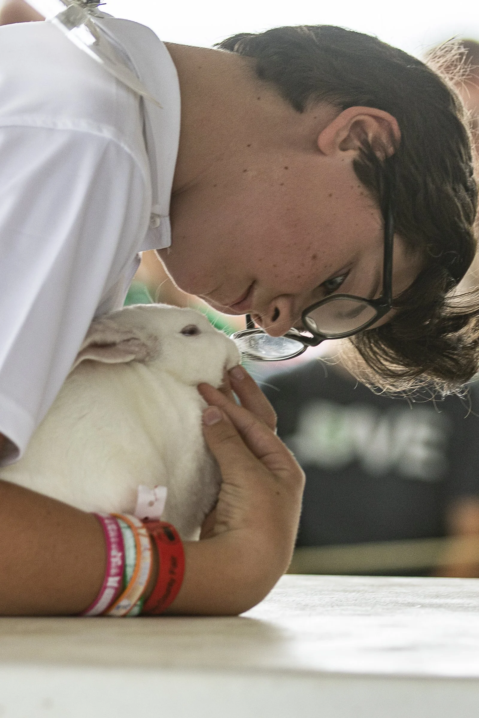 Rabbits__40A7805.jpg