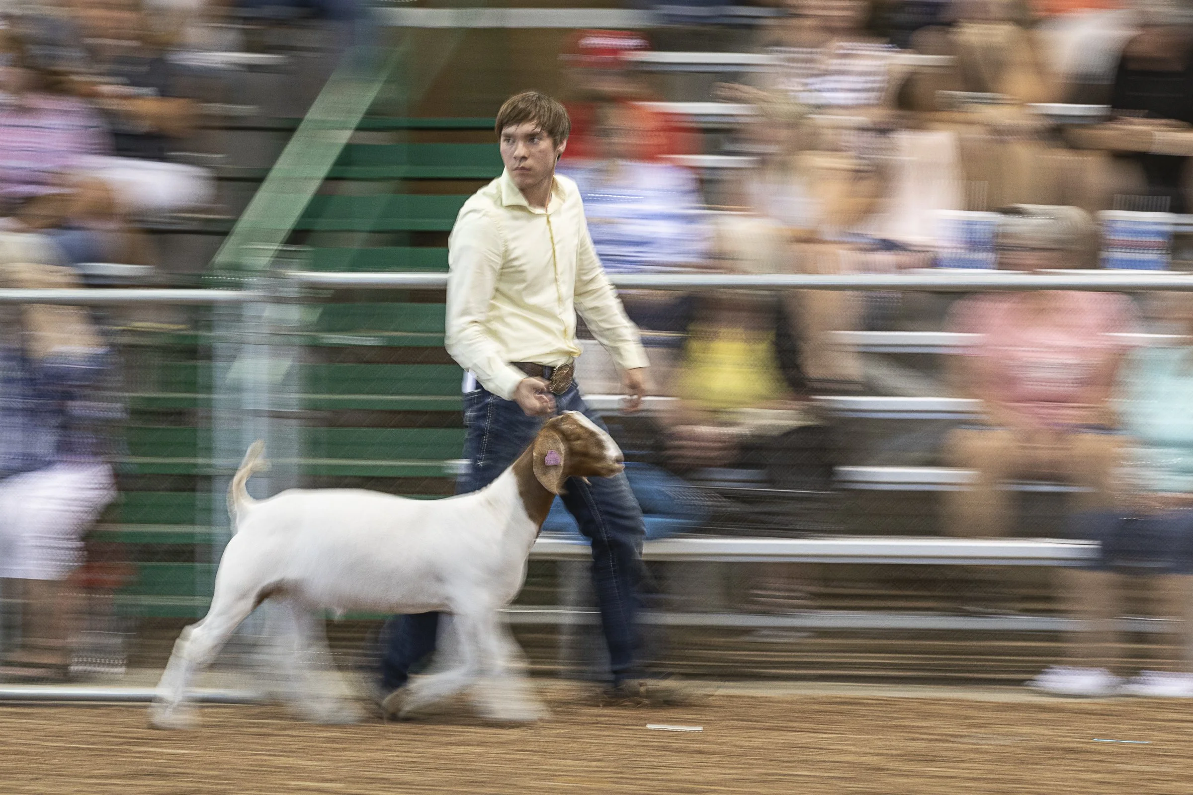 Goat_CL0A3296.jpg