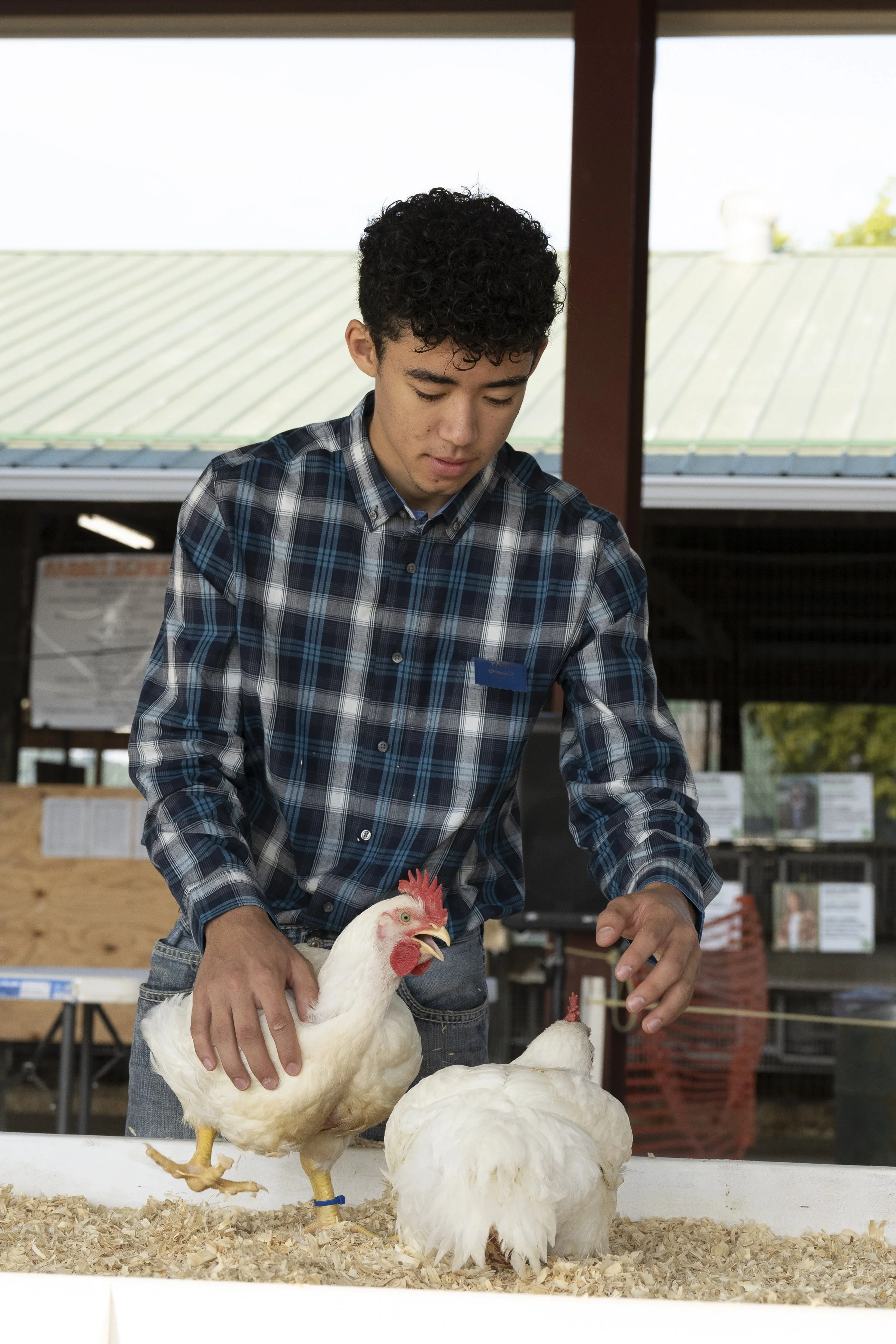 Fair_Tuesday_dsc_4494.jpg