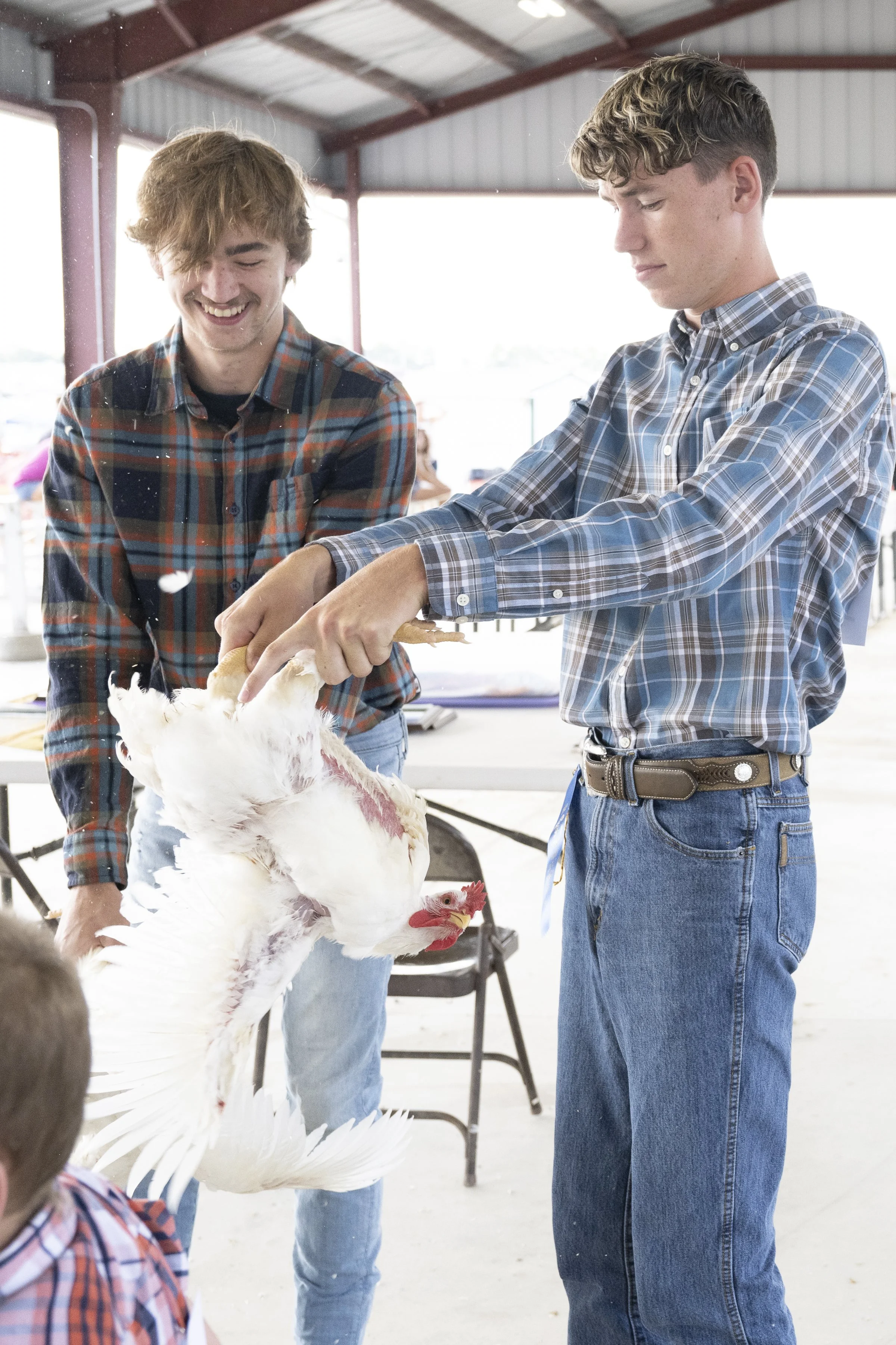 Fair_Tuesday_dsc_5257.jpg