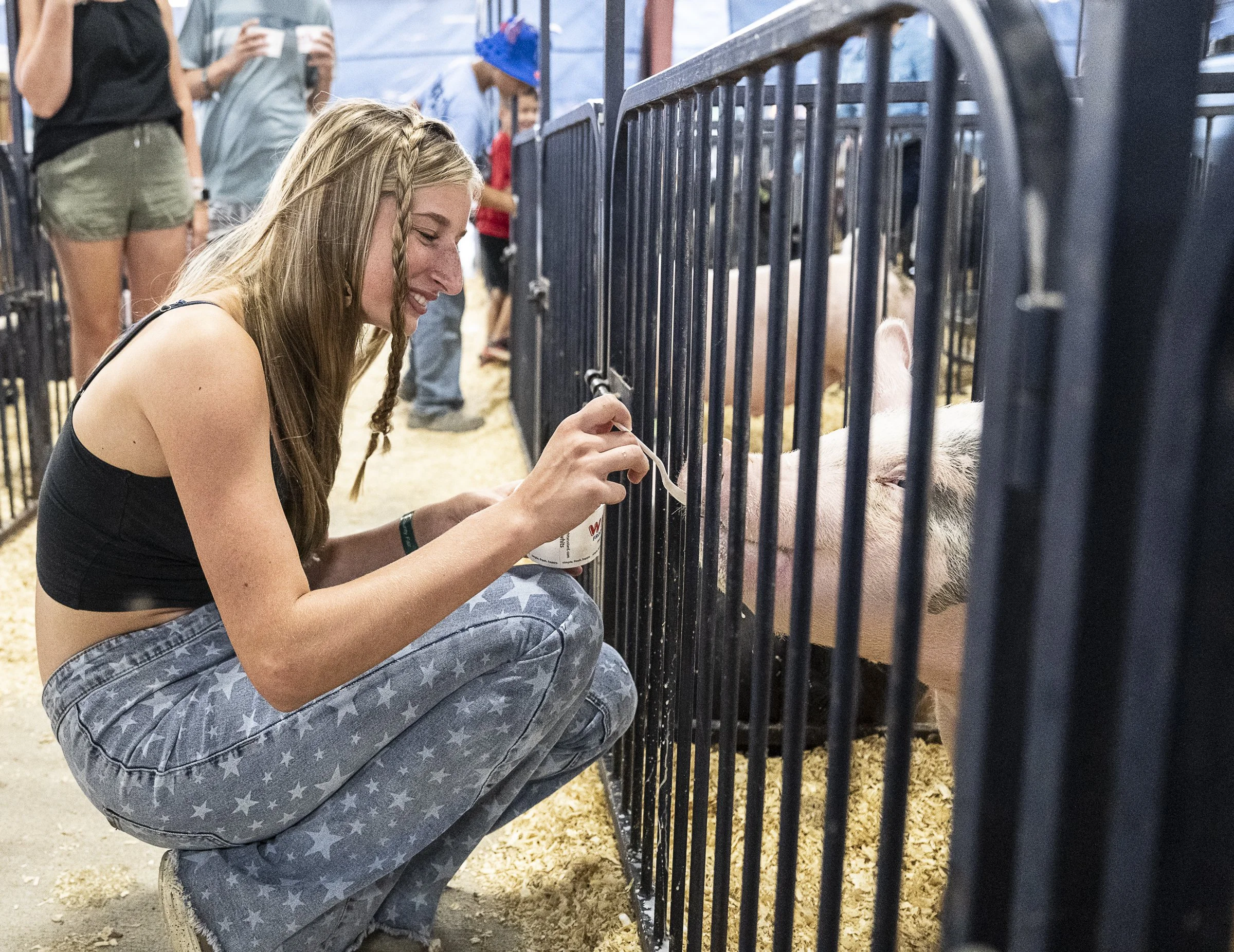 Fair hog SaleDSC_0671.jpg
