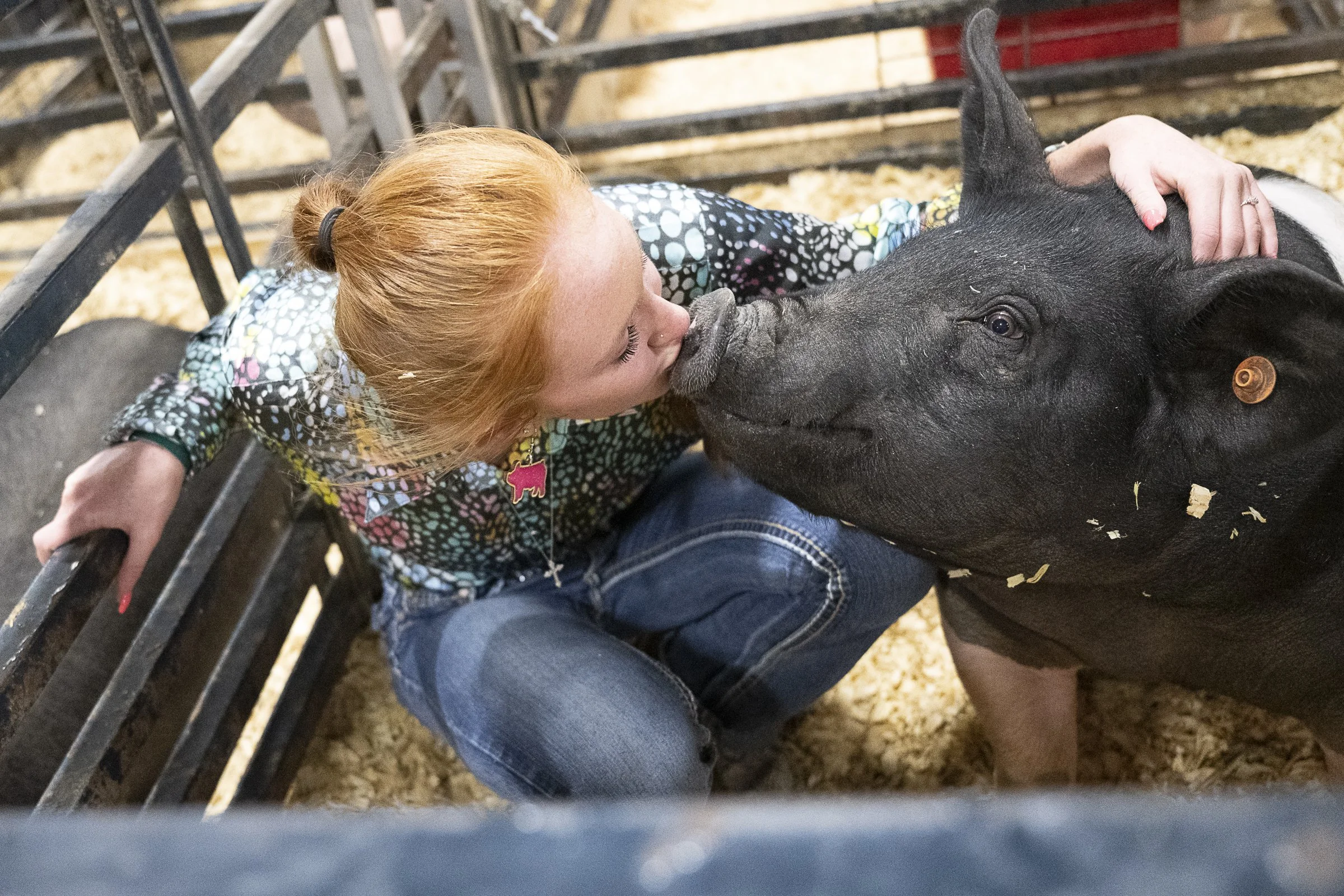 Fair hog SaleDSC_1007.jpg