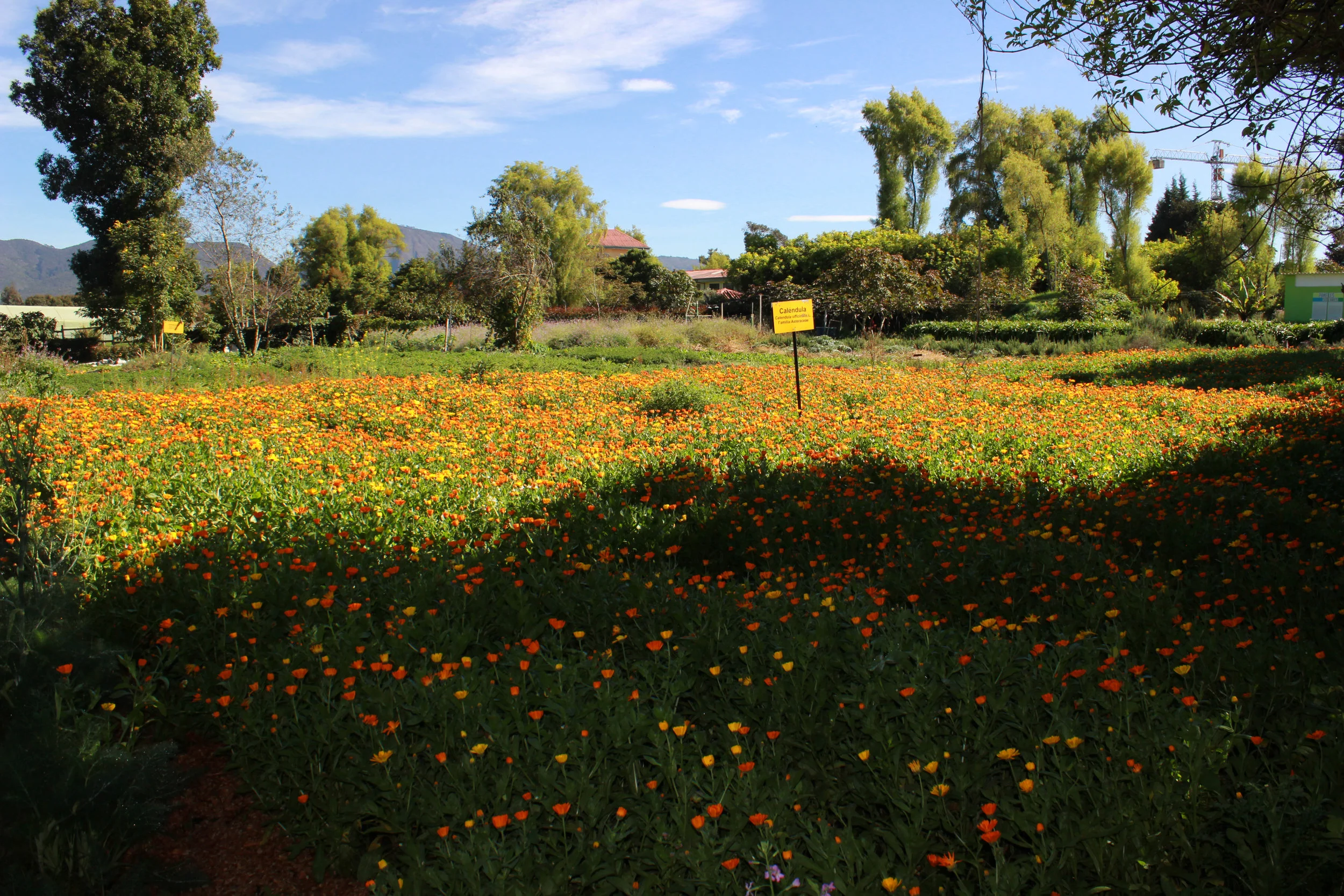 La Corpas es la única IES en Colombia reconocida por formar parte del Patrimonio Universitario del Mundo