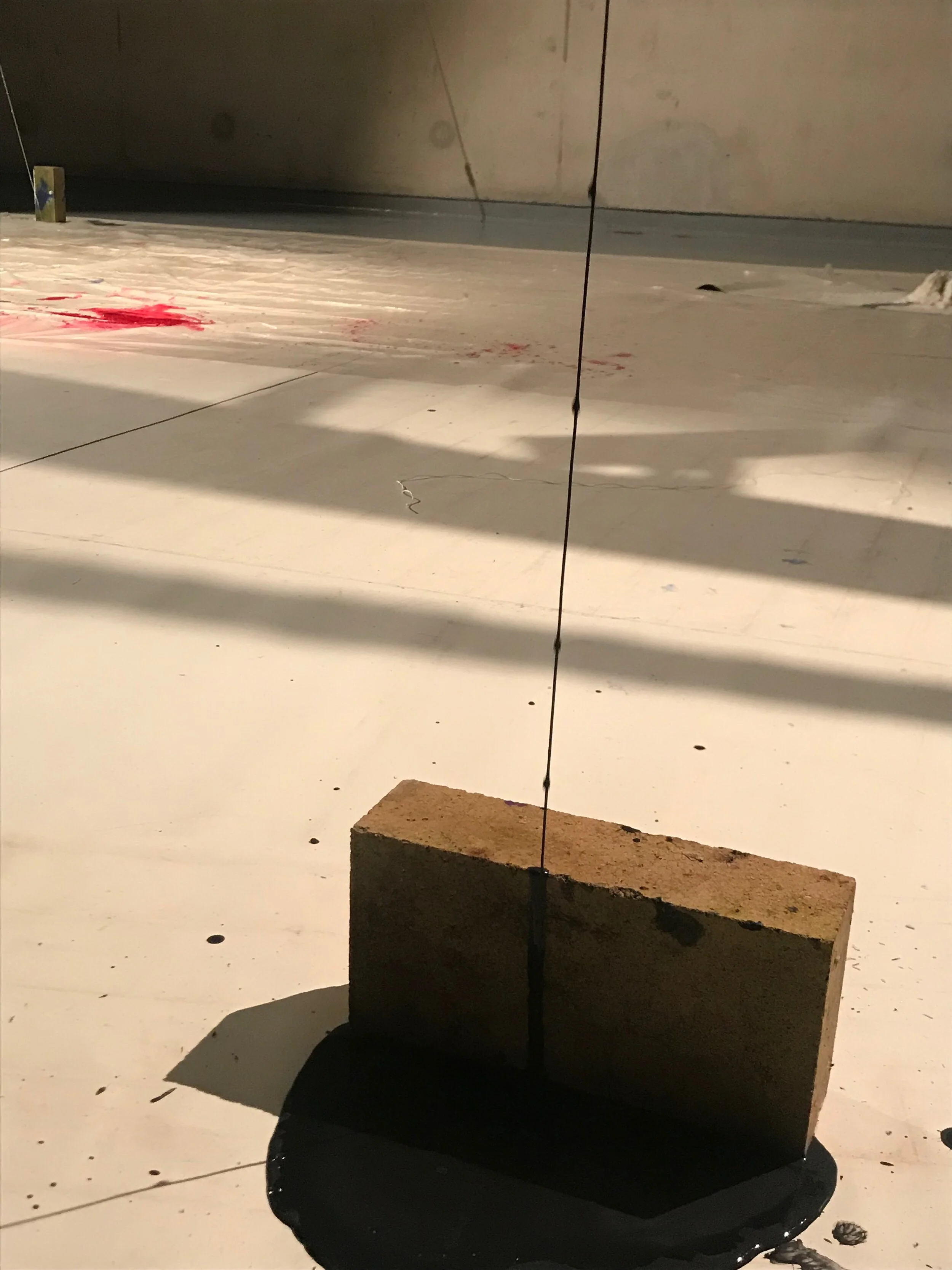 Miriam Parker_Painting Project_2019_view 1.jpeg