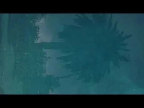 Oasis, 2016