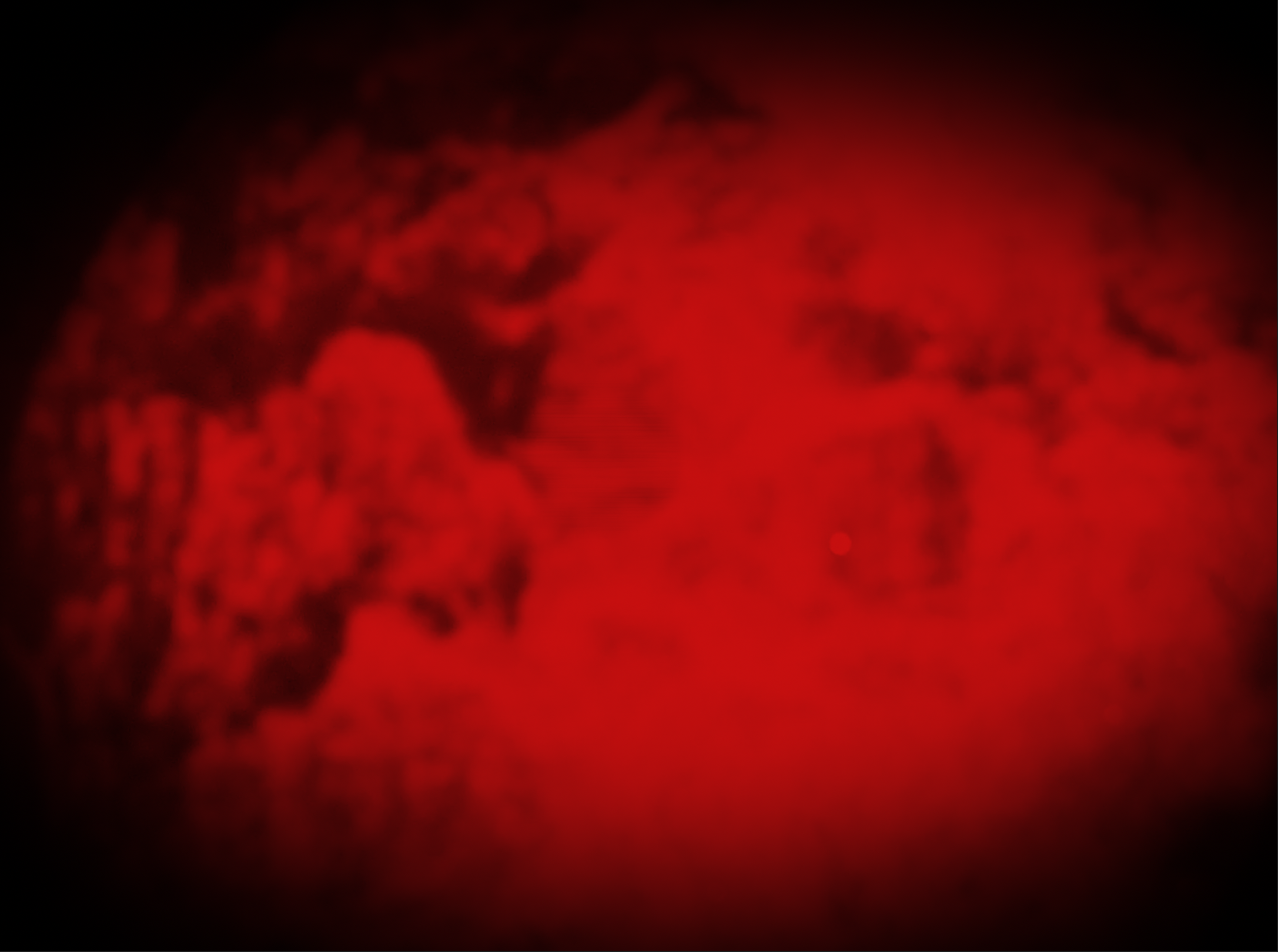 Screenshot 2024-12-10 at 3.30.28 PM.png