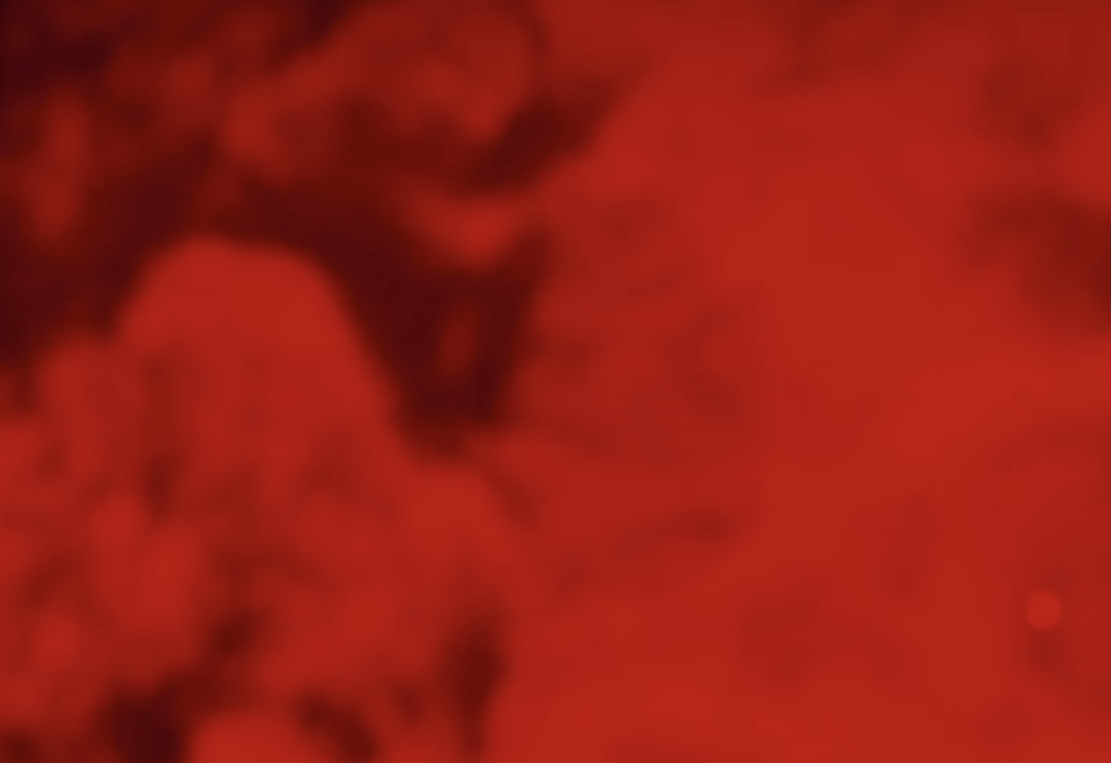 Screenshot 2024-12-13 at 12.31.20 PM.png