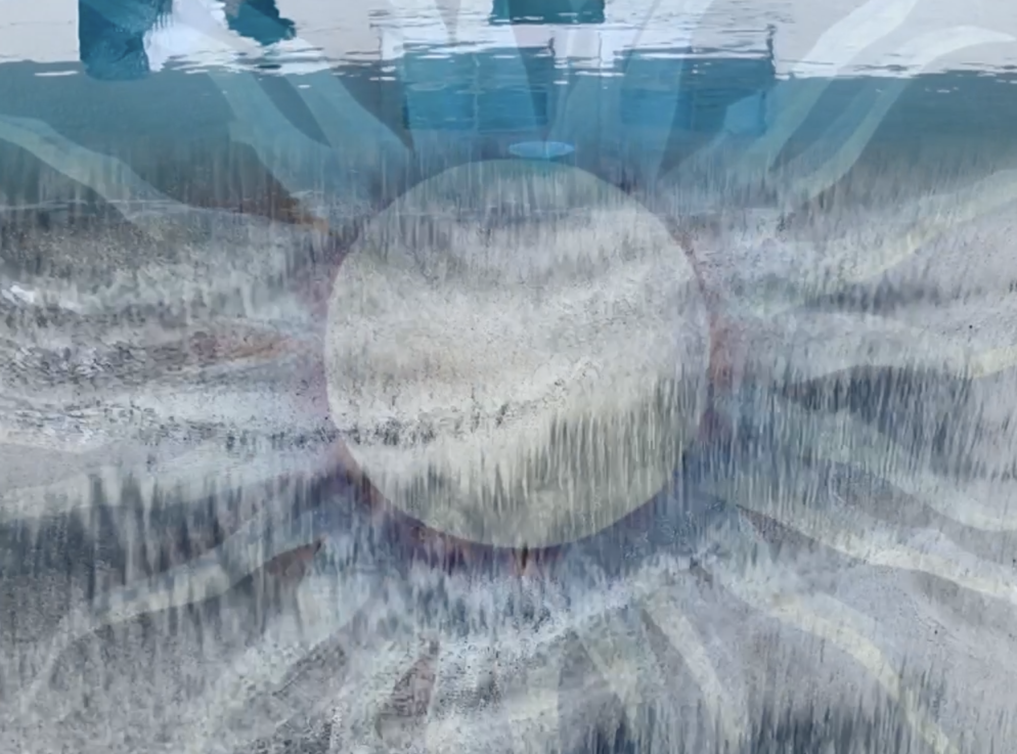 Screenshot 2024-12-13 at 12.29.58 PM.png