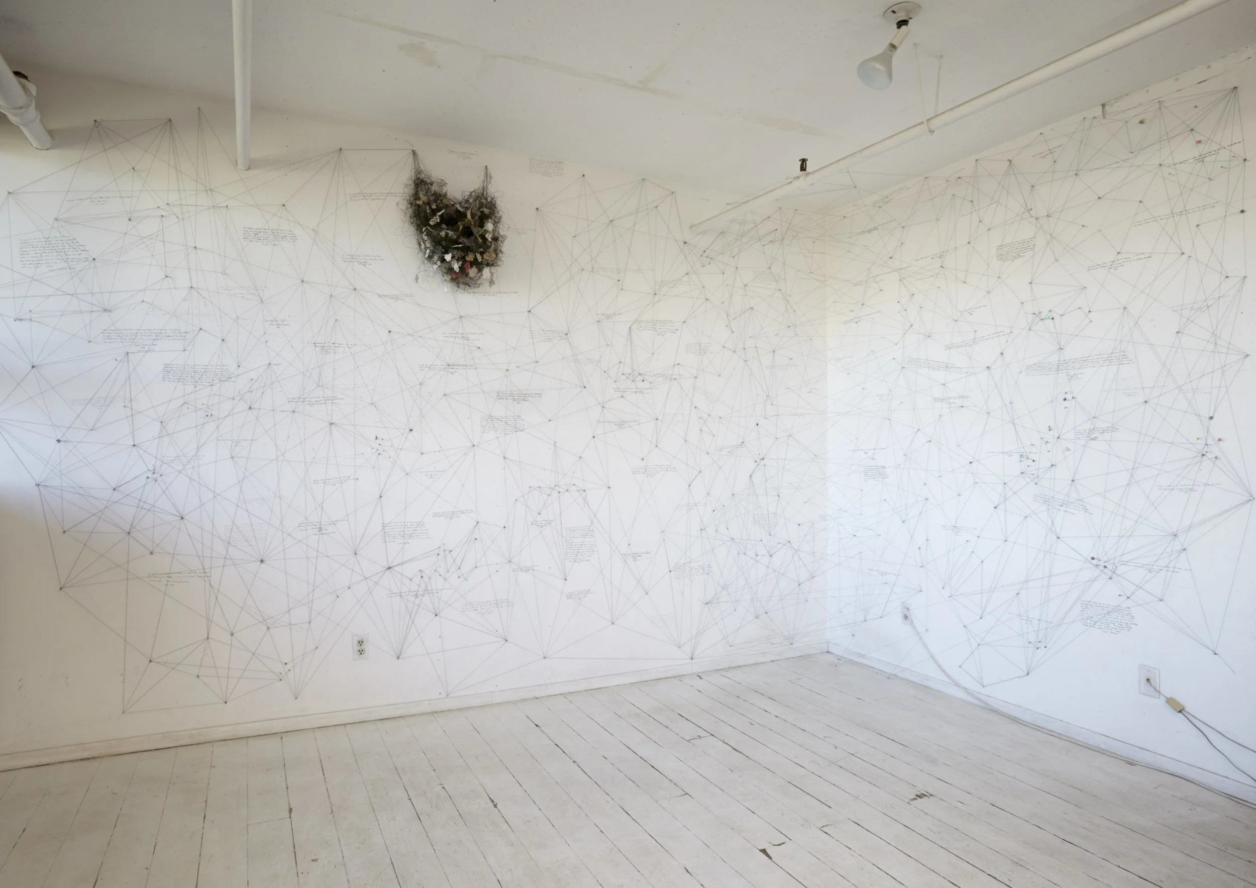 LOS VECINOS / Echolocation