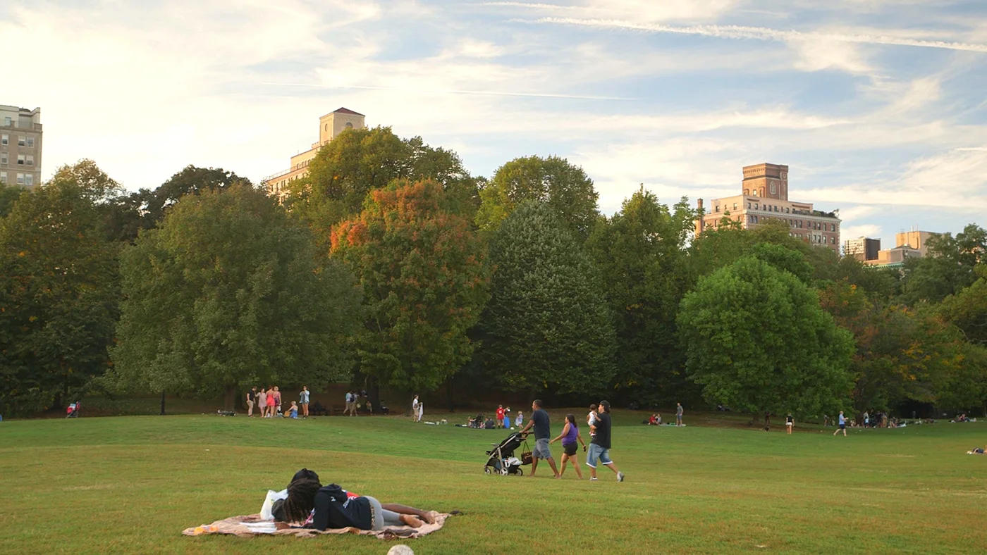 Prospect Park Great Lawn