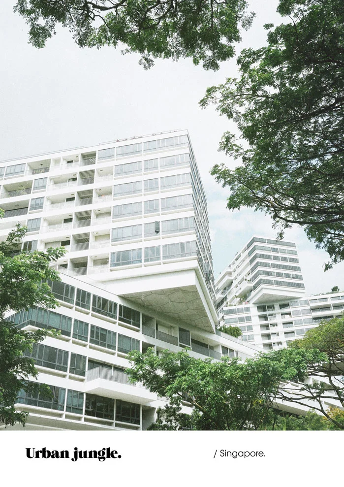 Olympus-PEN-F-Clan-Singapore-Jimsandkittys-interlace-condo.jpg