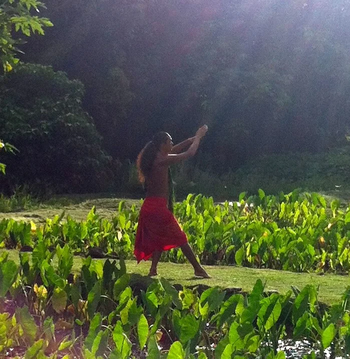 Hula - Preserving the Past, Sharing the future