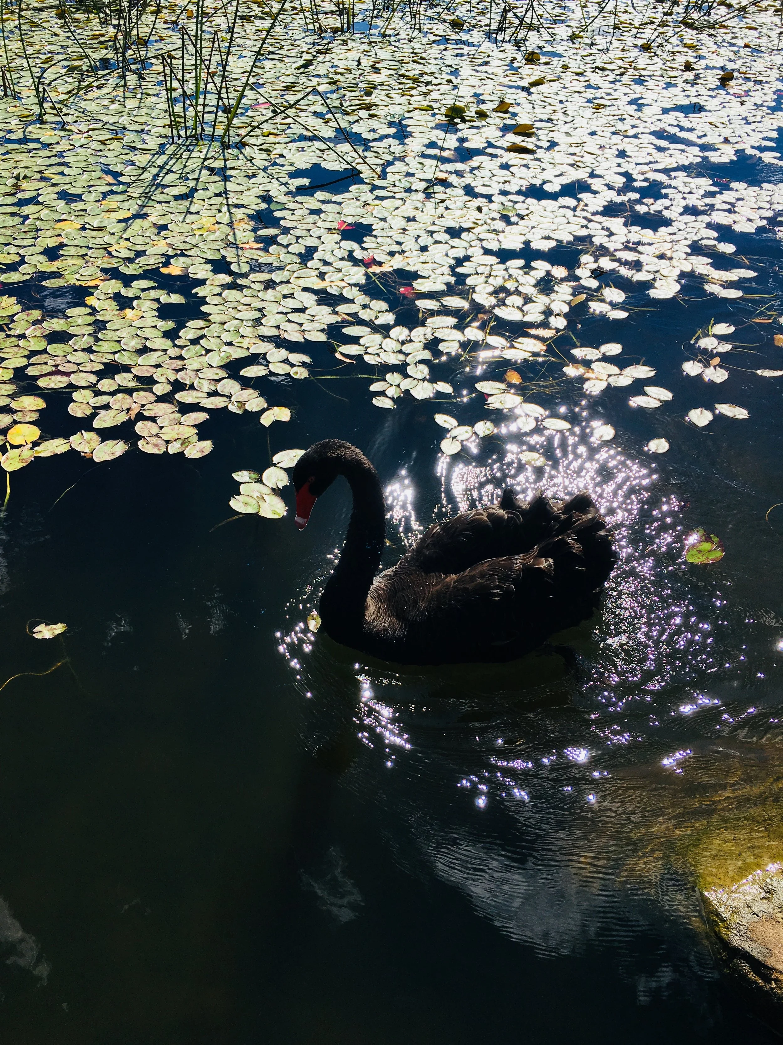 Cringe! The Ugly, Embarrassing Relationship &amp; Spiritual Growth