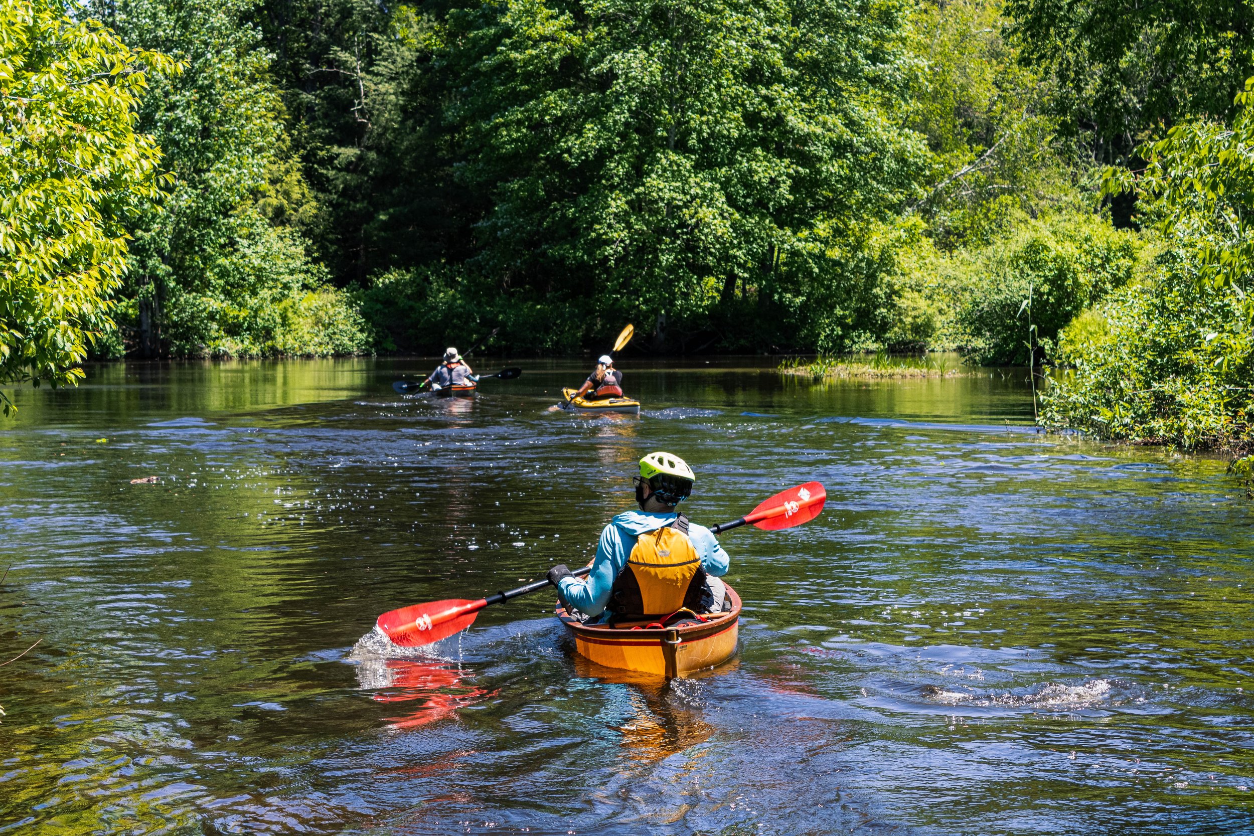 Four people kayaking on a calm river surrounded by lush green trees on a clear day.