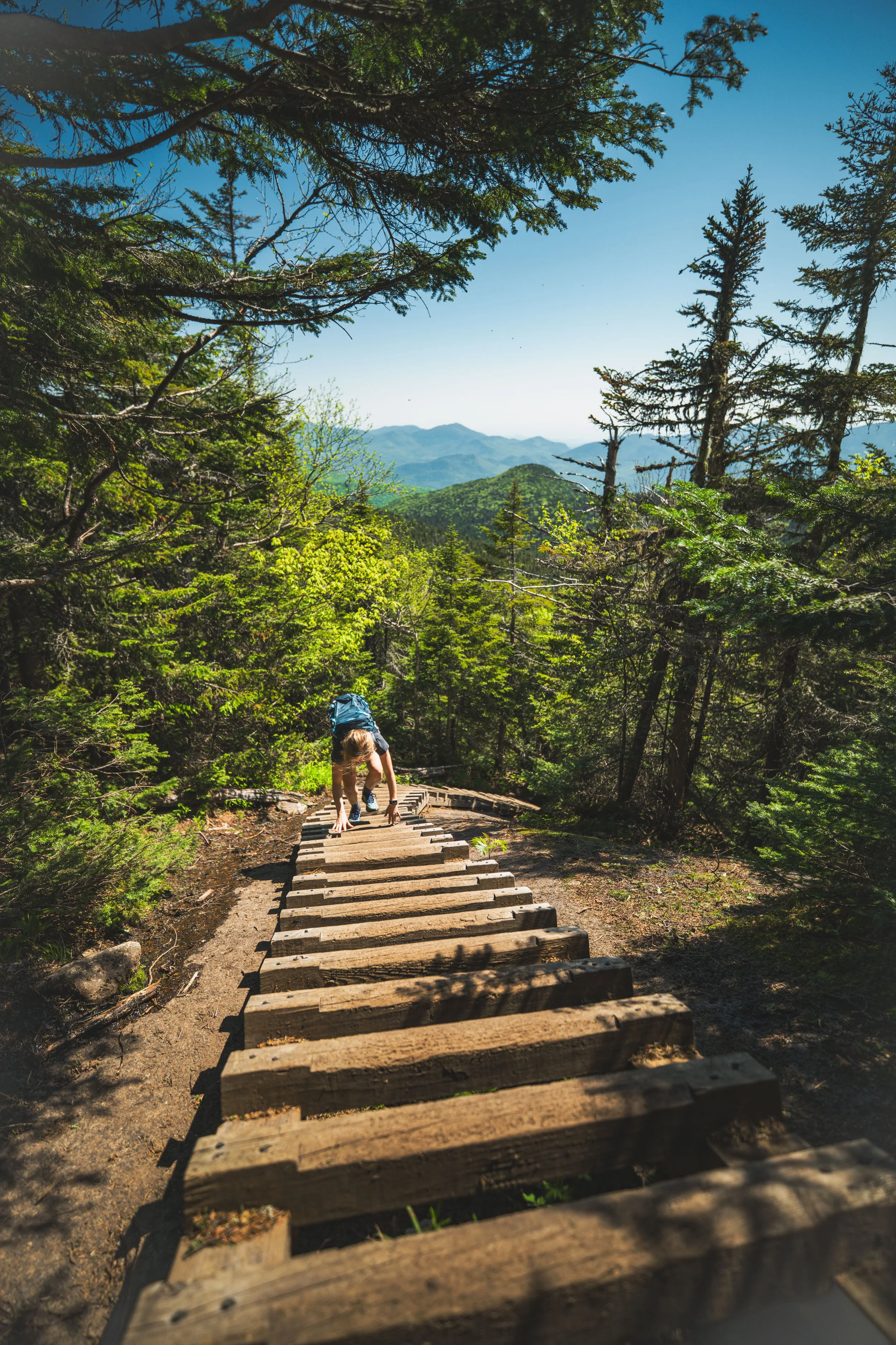 A person hiking up a wooden staircase in a dense forest with mountain views in the background on a sunny day.