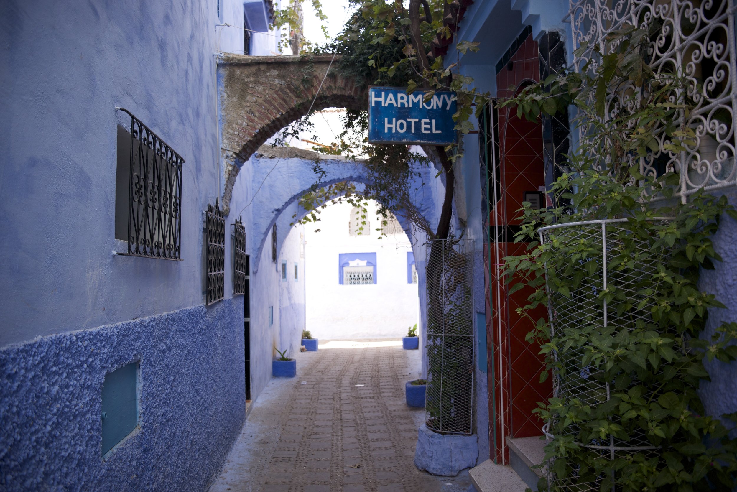 DSC_0368.jpg