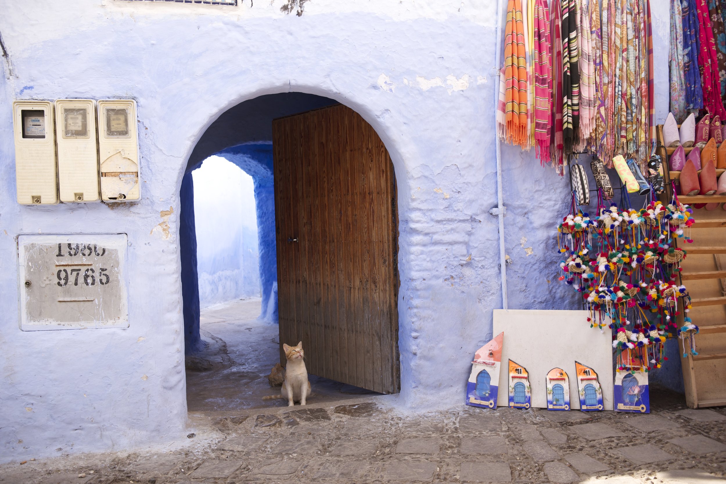 DSC_0416.jpg