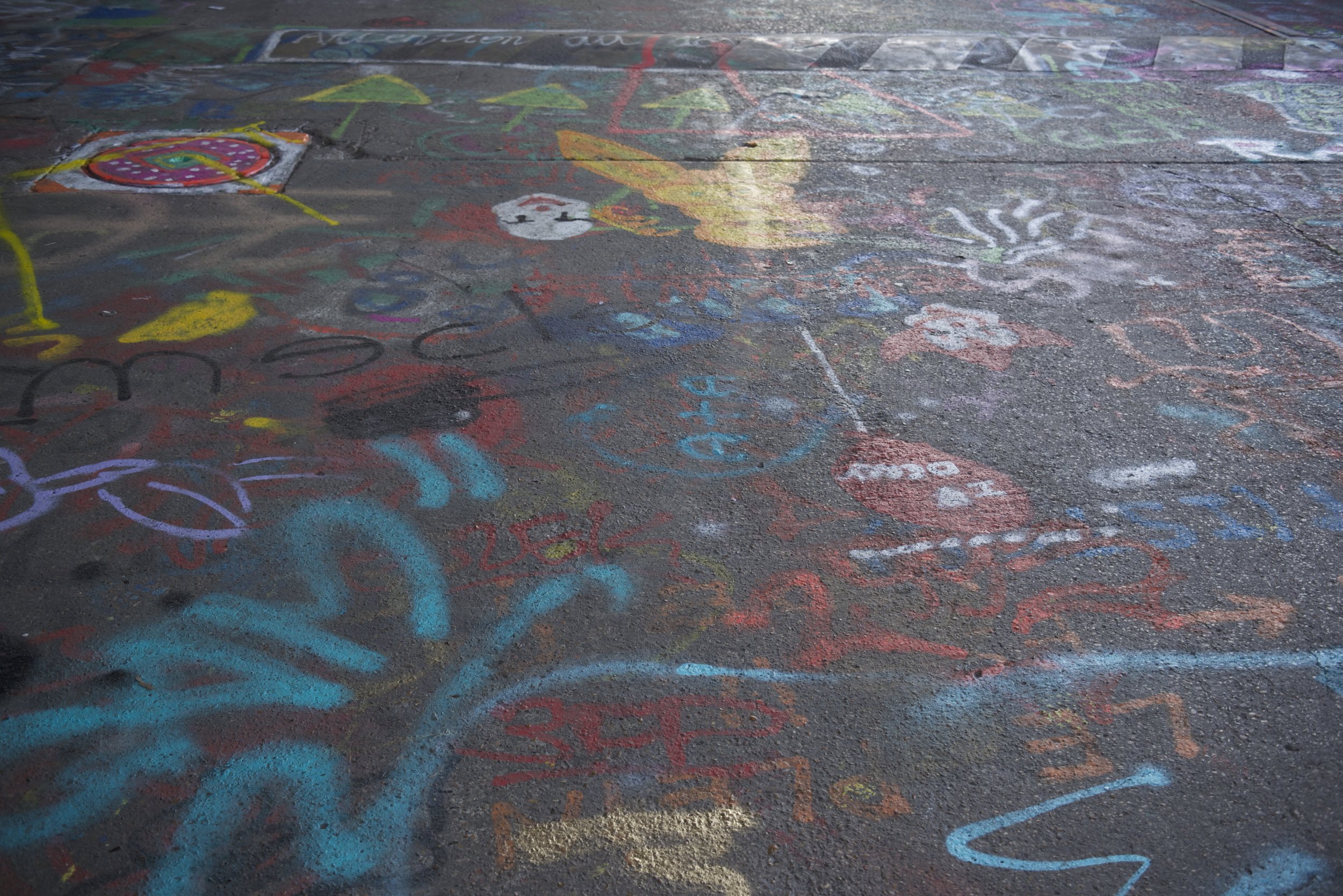 DSC_1742.jpg
