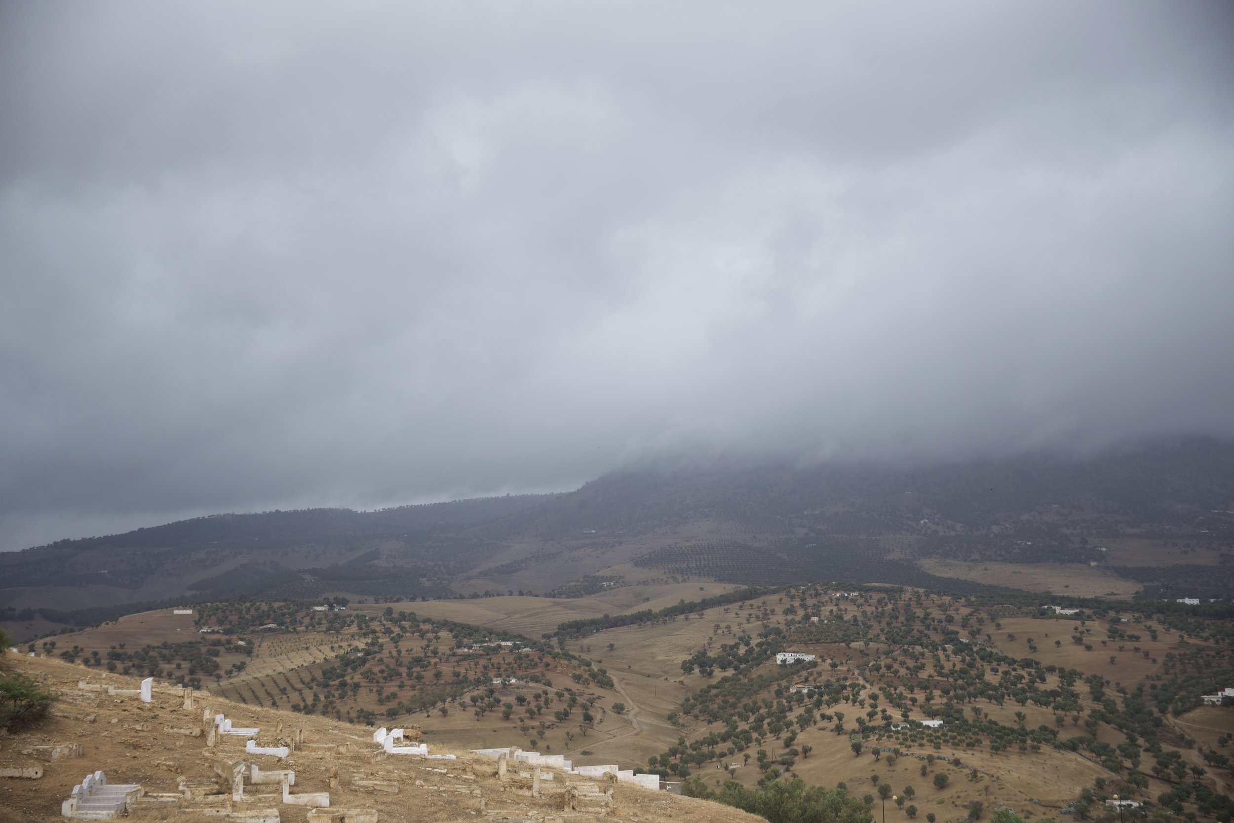 DSC_1006.jpg
