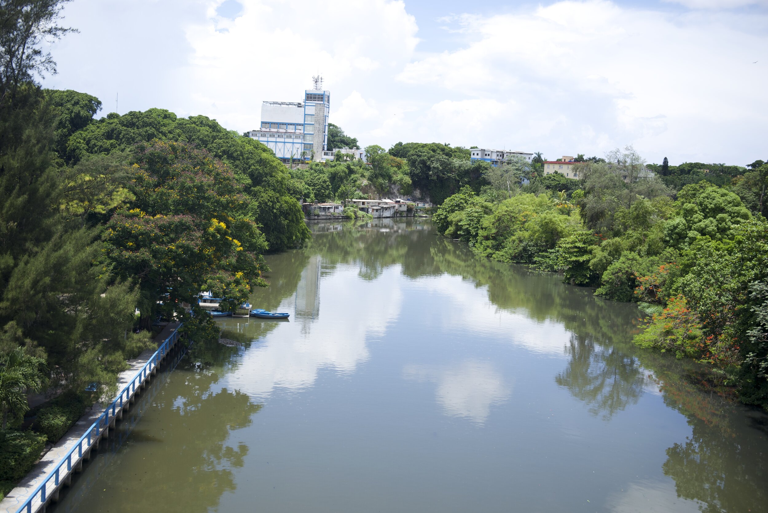 DSC_4105.jpg