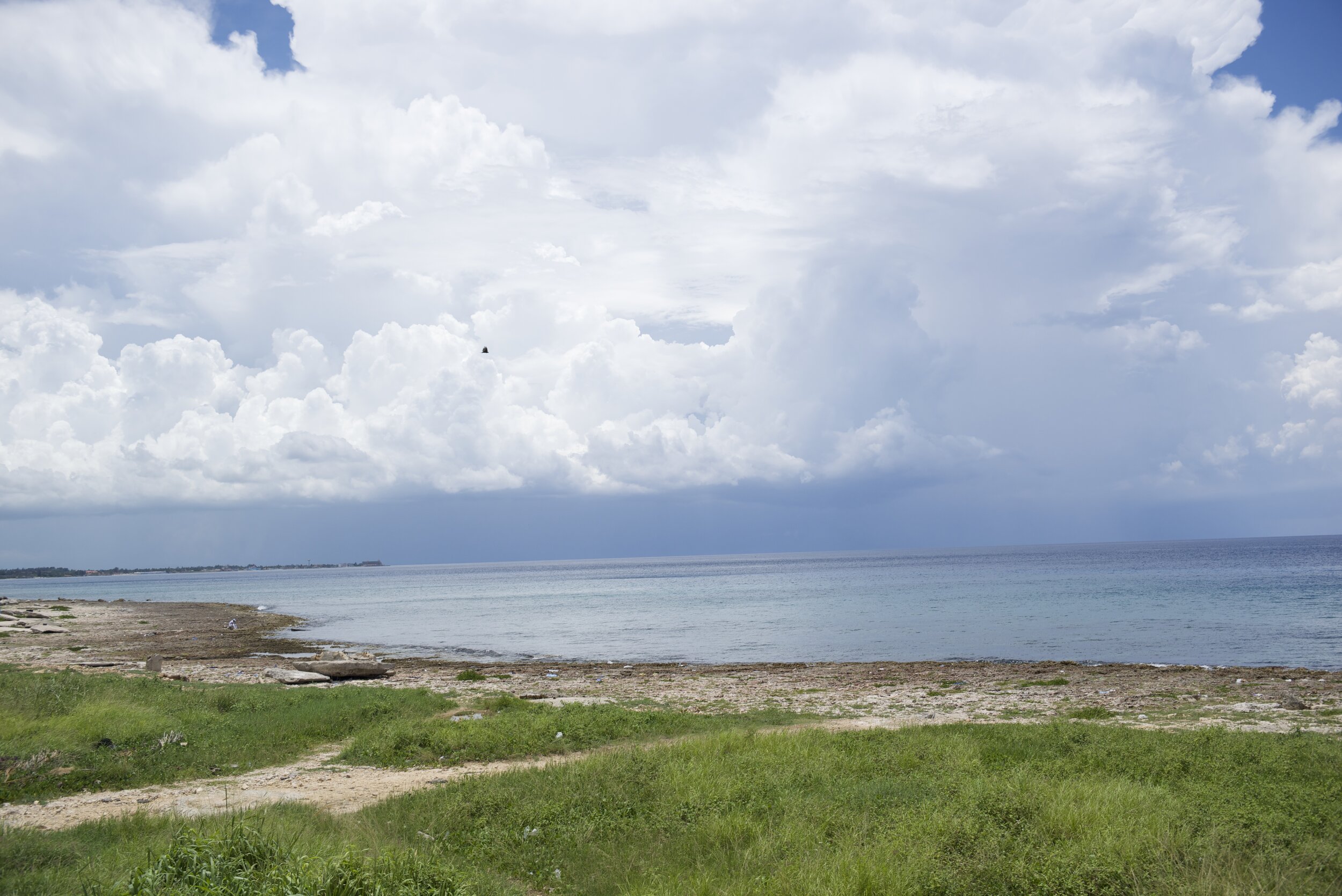 DSC_4119.jpg
