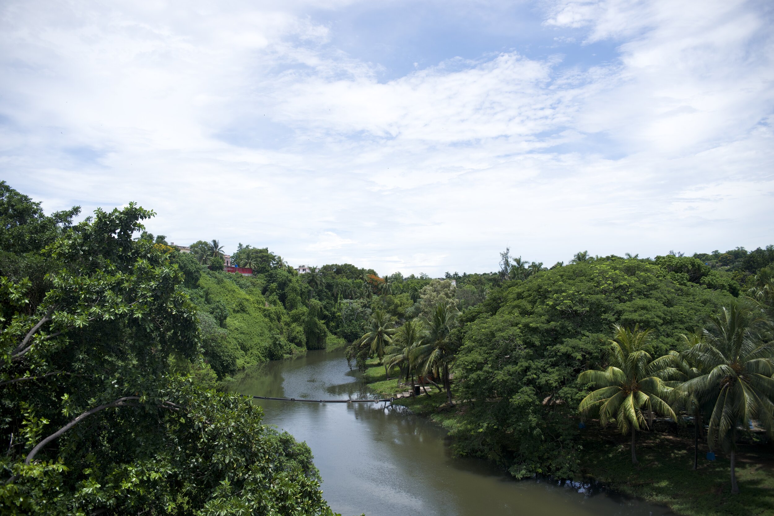 DSC_4144.jpg
