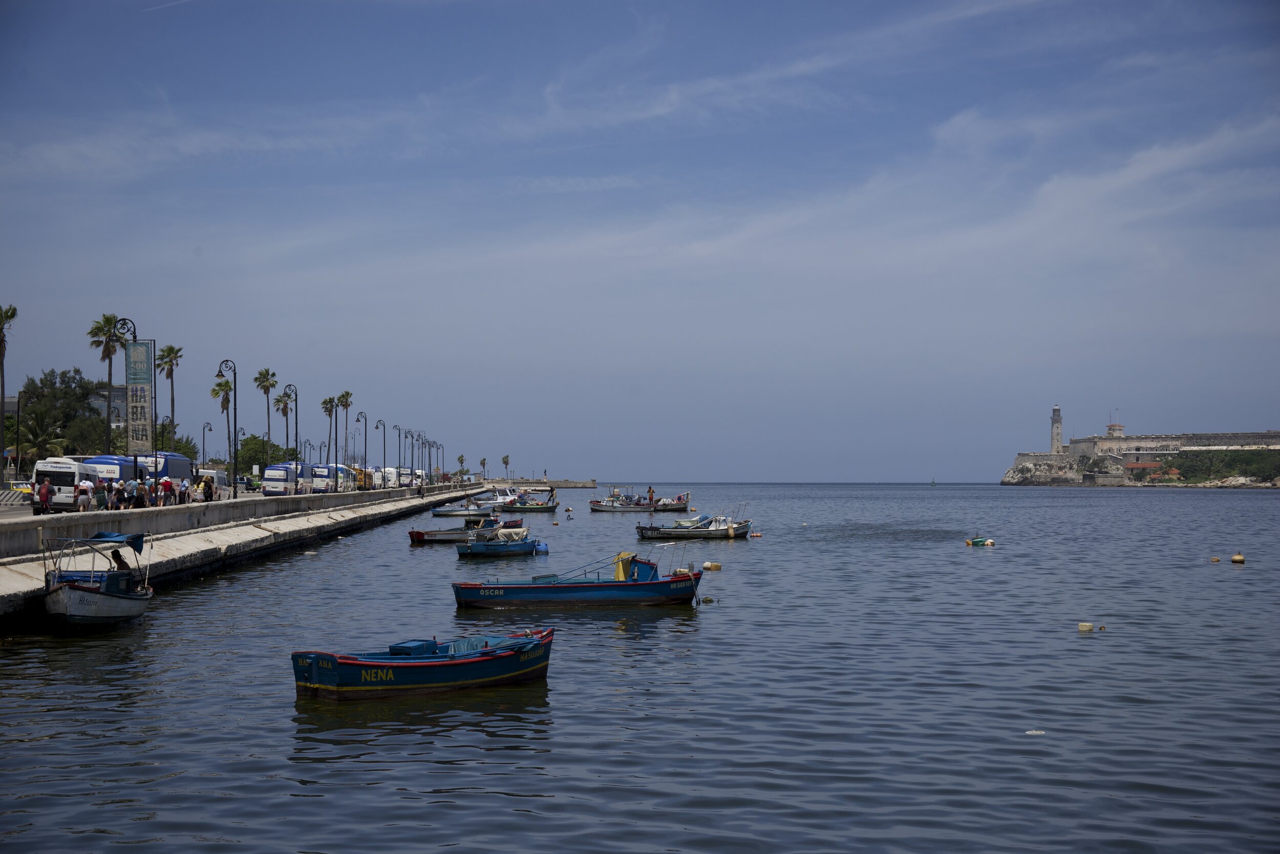 DSC_4505.jpg